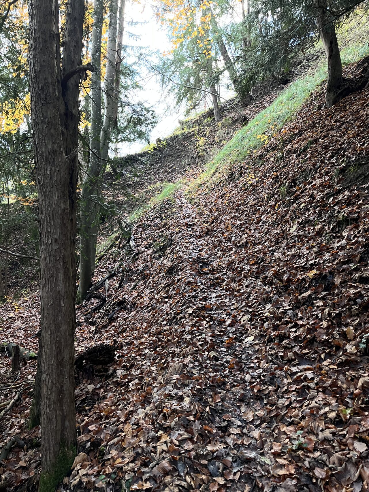 wanderung_teehuette_fallaetsche_