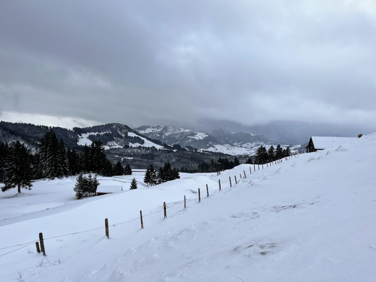 schneeschuhtour_sattelegg_