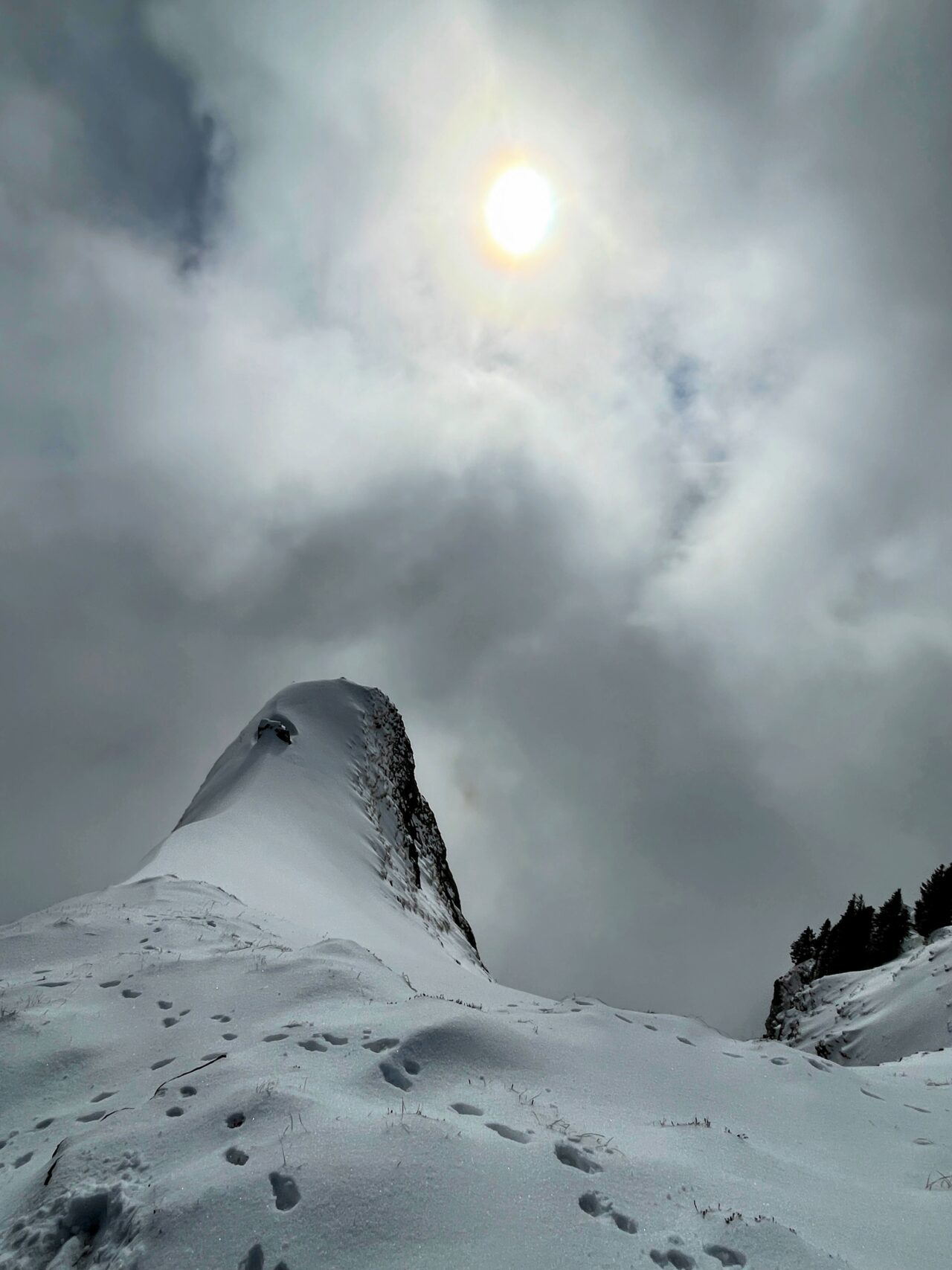 schneeschuhwandern_alp_sellamatt_fruemseltal__IMG_6718