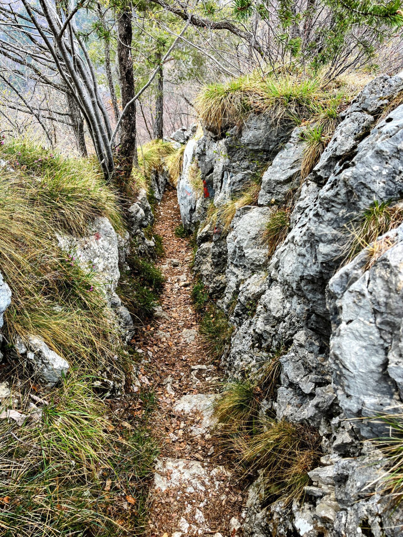 klettersteig_cima_capi_
