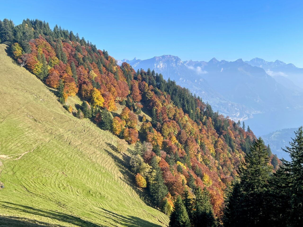 wanderung_rigi_hochflue_