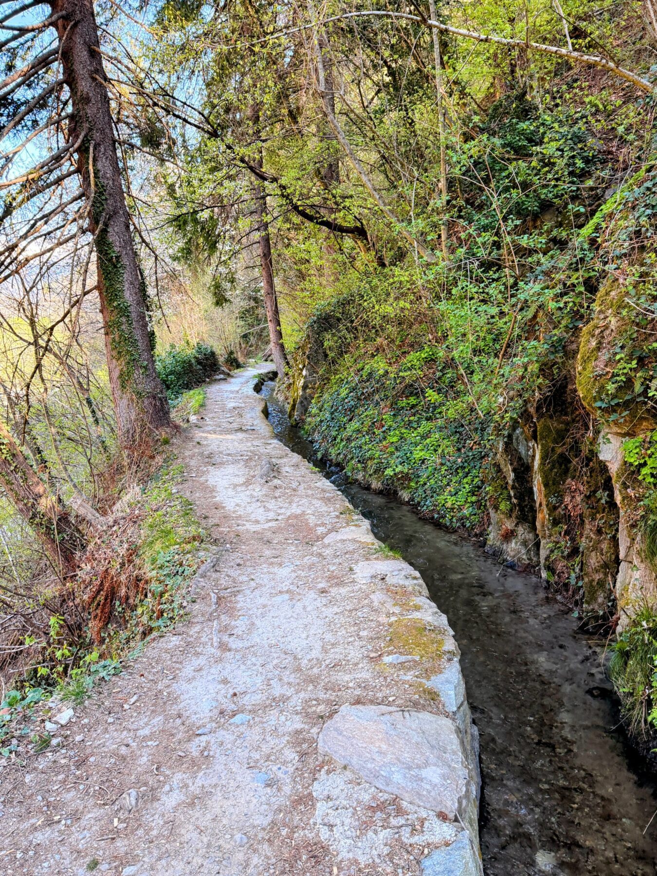 wanderung_maiser_waalweg_tappeinerweg_dorf_tirol_