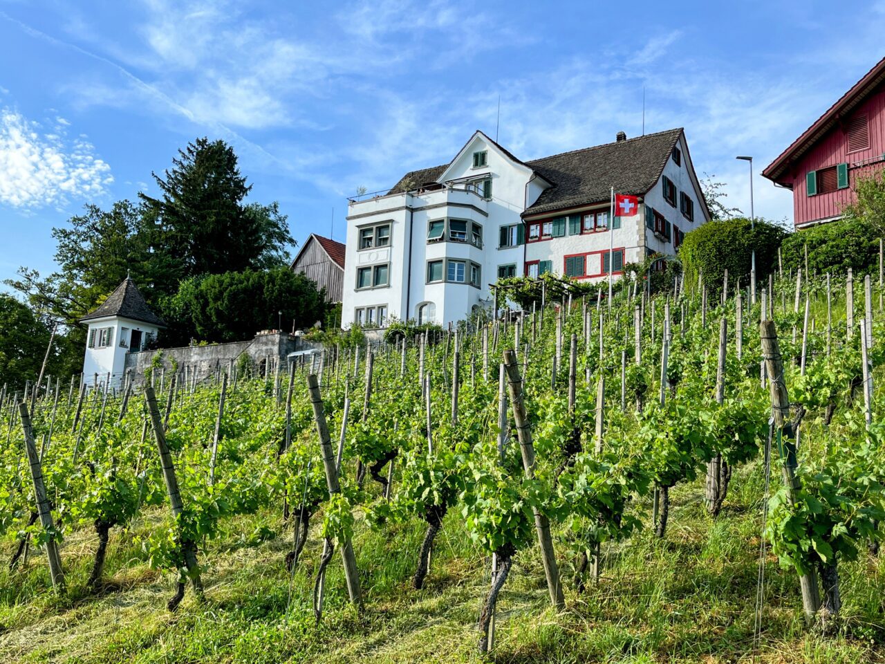 umrundung_zürichsee_schmerikon_stäfa_