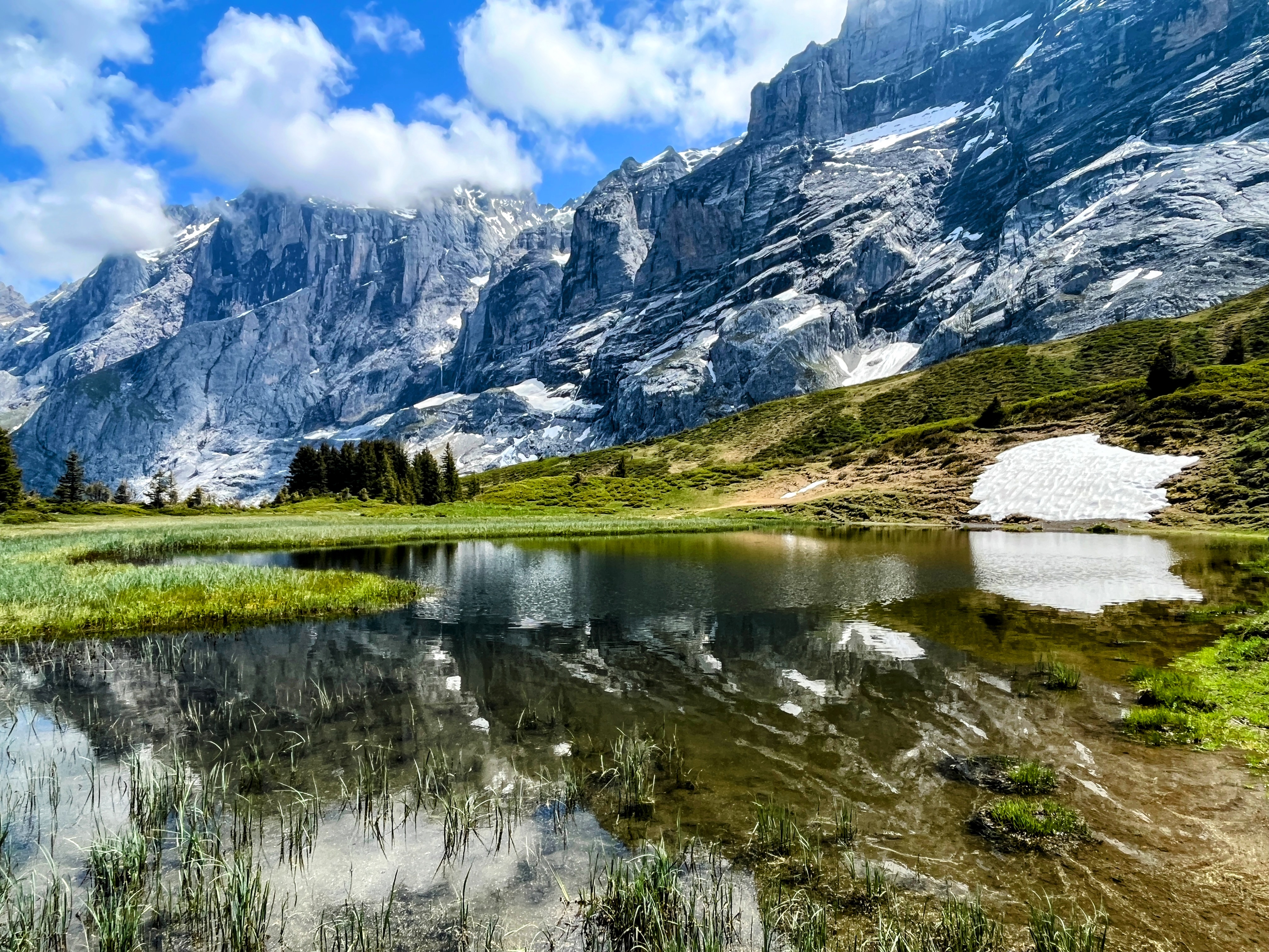 wanderung_via_alpina_meiringen_grindelwald_