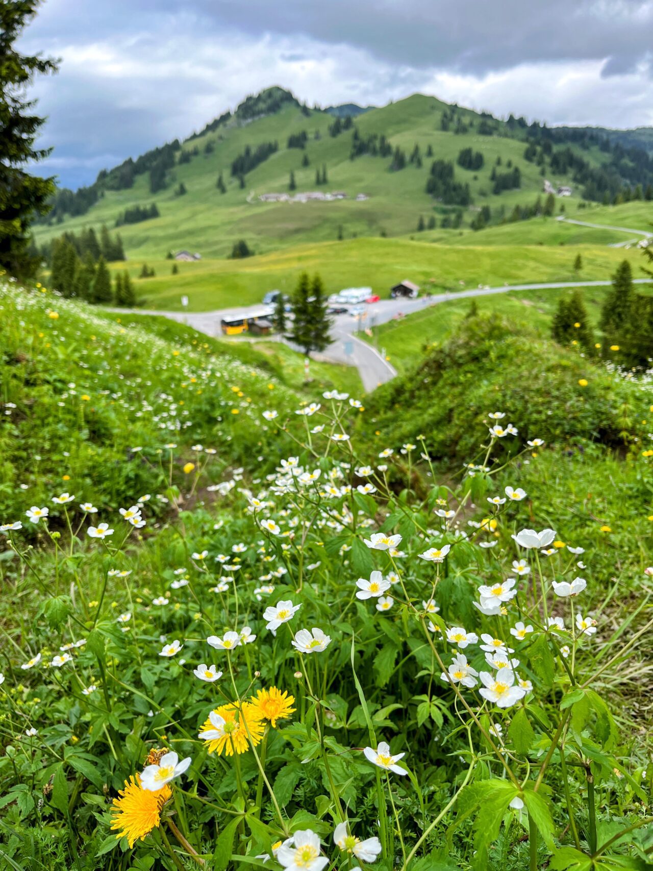 trans_swiss_trail_glaubenbielen_giswil_