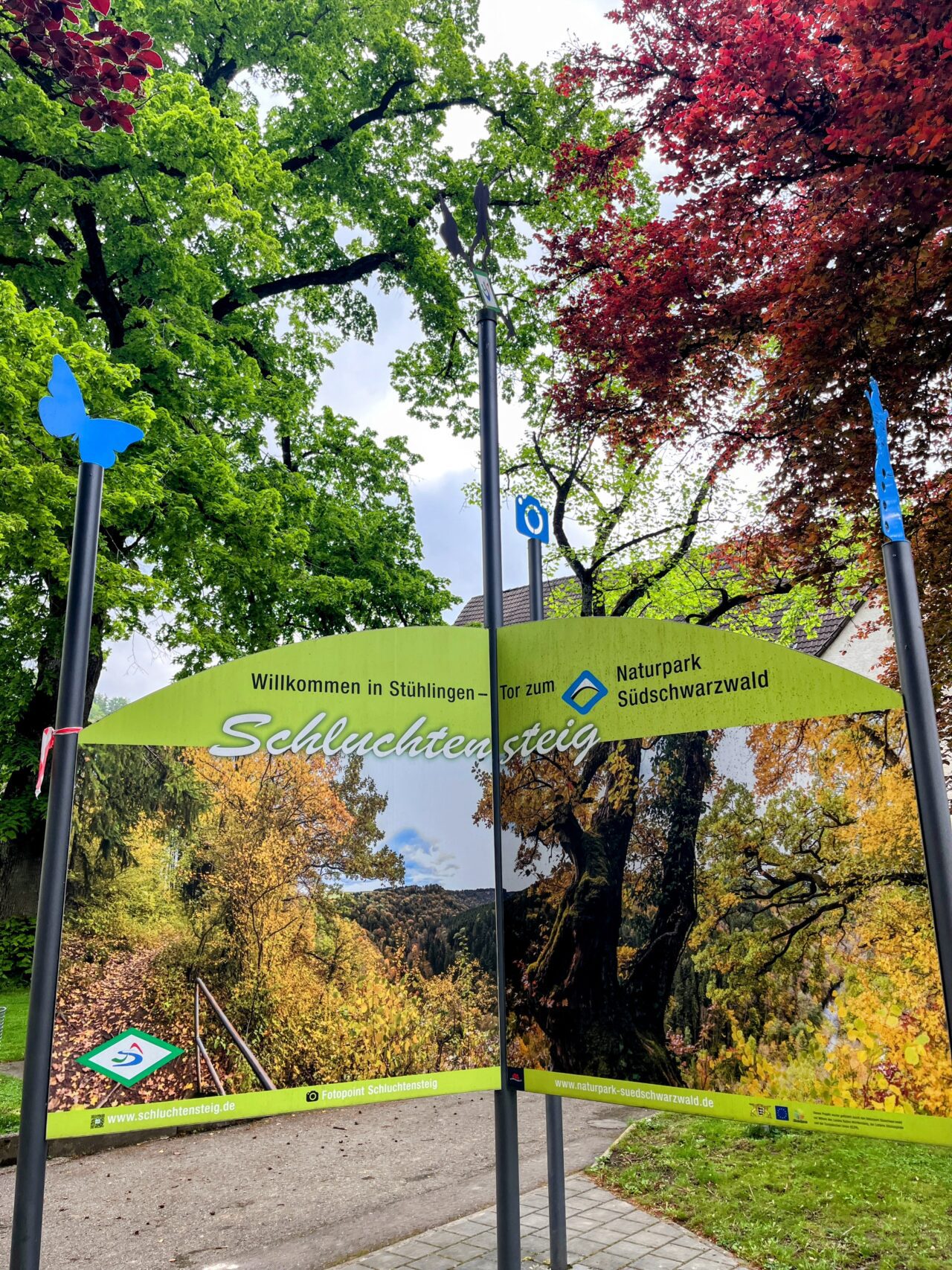 wanderung_schluchtensteig_schwarzwald_