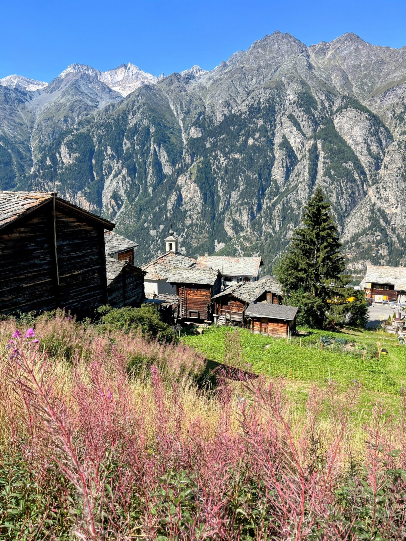 wanderung_bordierhütte_
