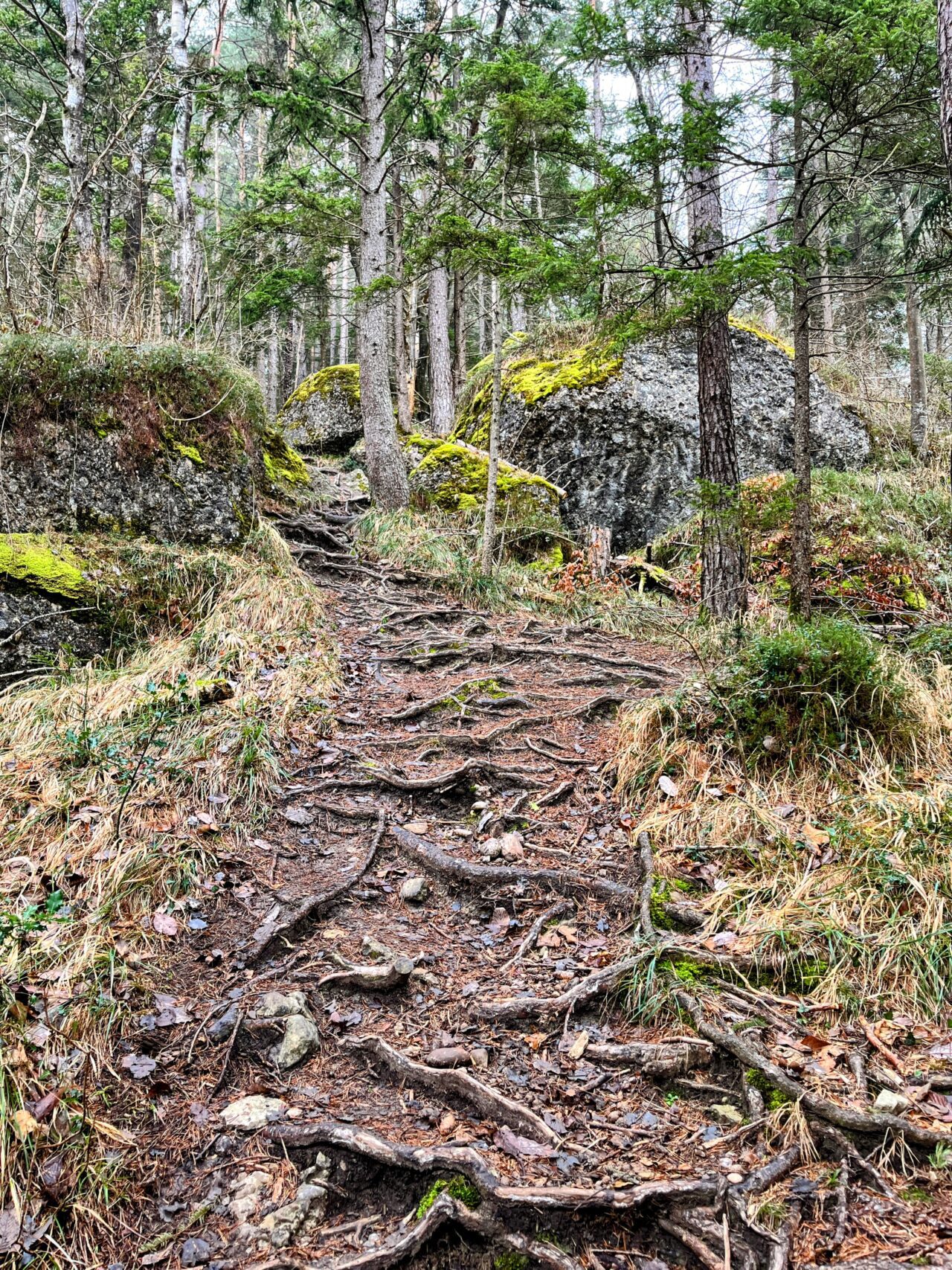 wanderung_gnipen_wildspitz_
