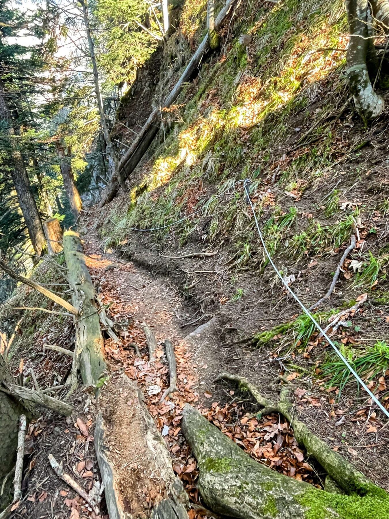wanderung_vitznau_gersauerstock_vitznauerstock_