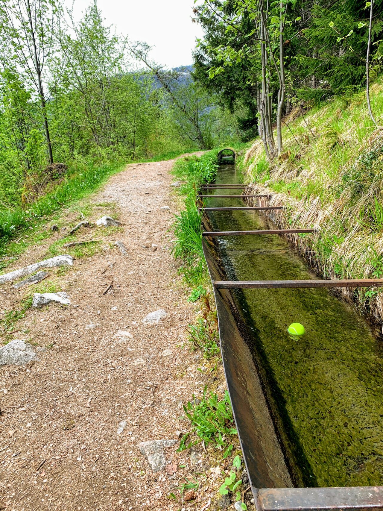 wanderung_bisse_du_milieu_bisse_vieux_