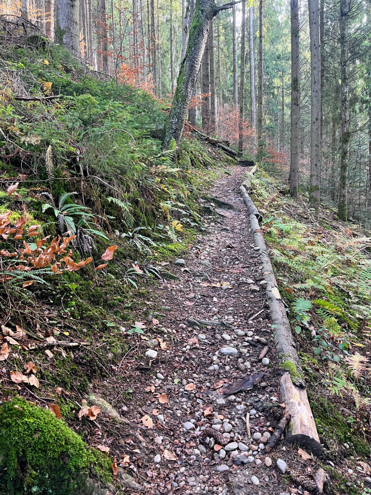 trans-swiss-trail-etappe-12-und-13-luetzelfluh-langnau-eggiswil-