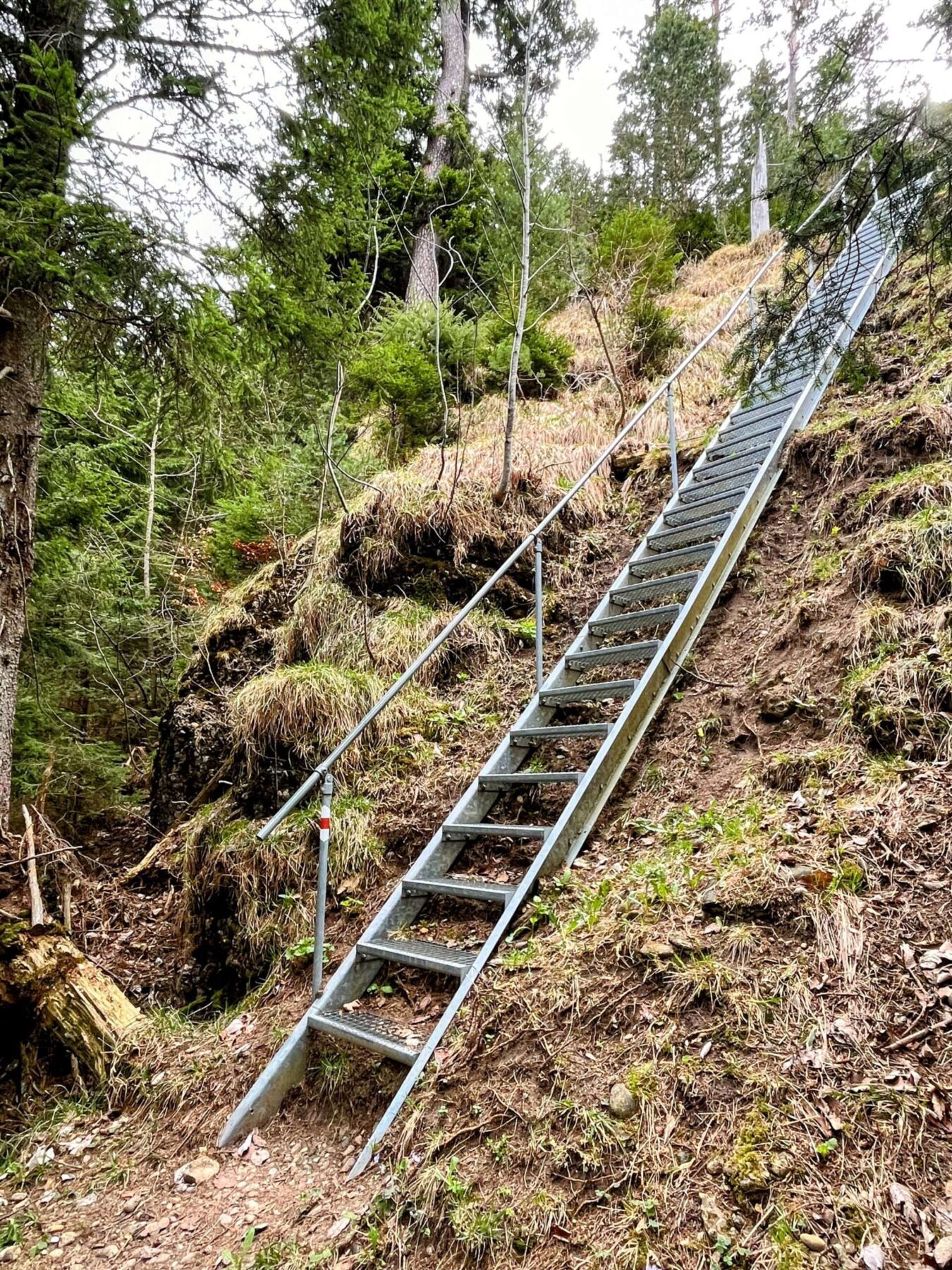 wanderung_weggis_rigi_