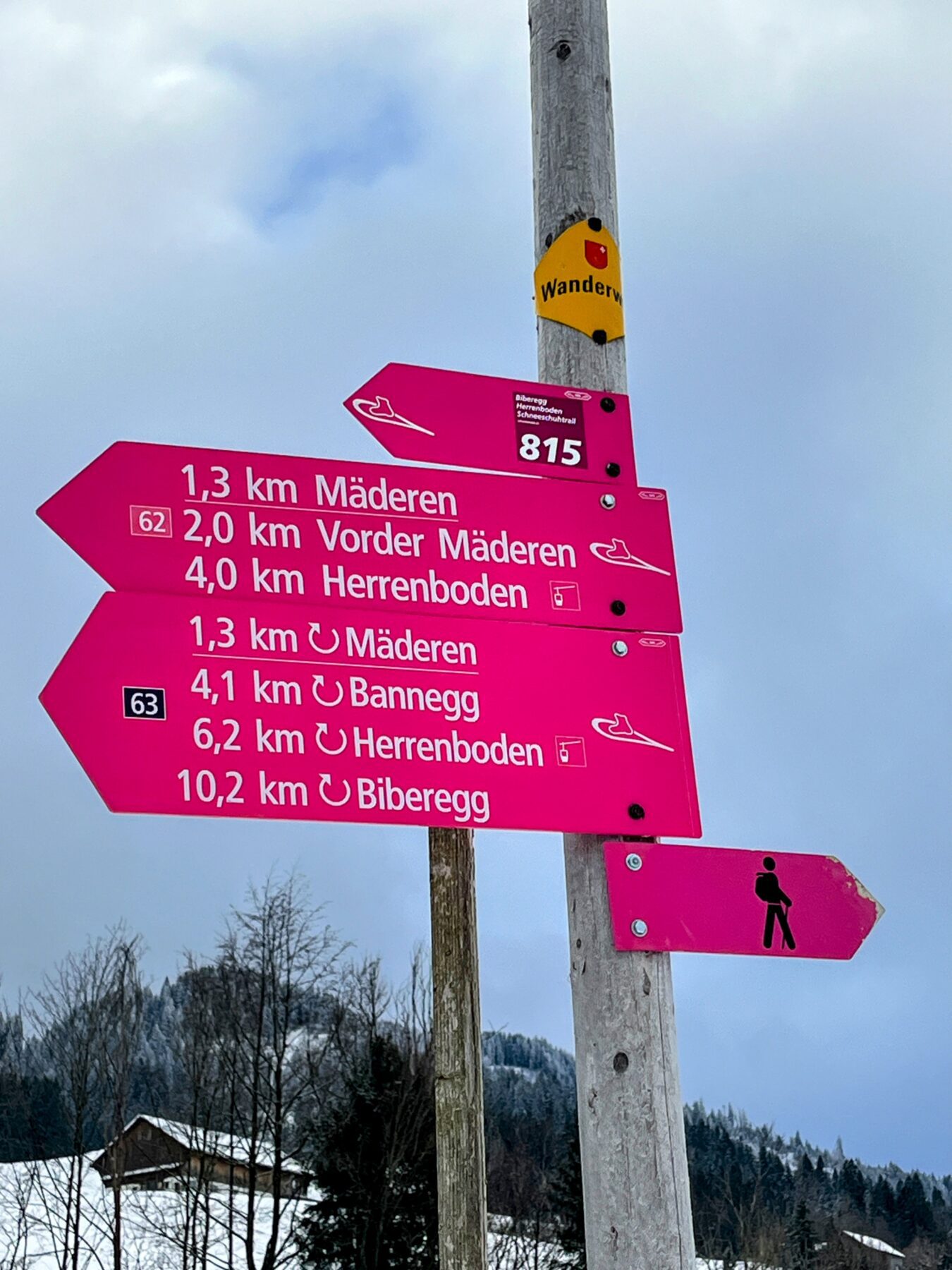 schneeschuhtour_biberegg_hochstuckli_haengebruecke__IMG_2104