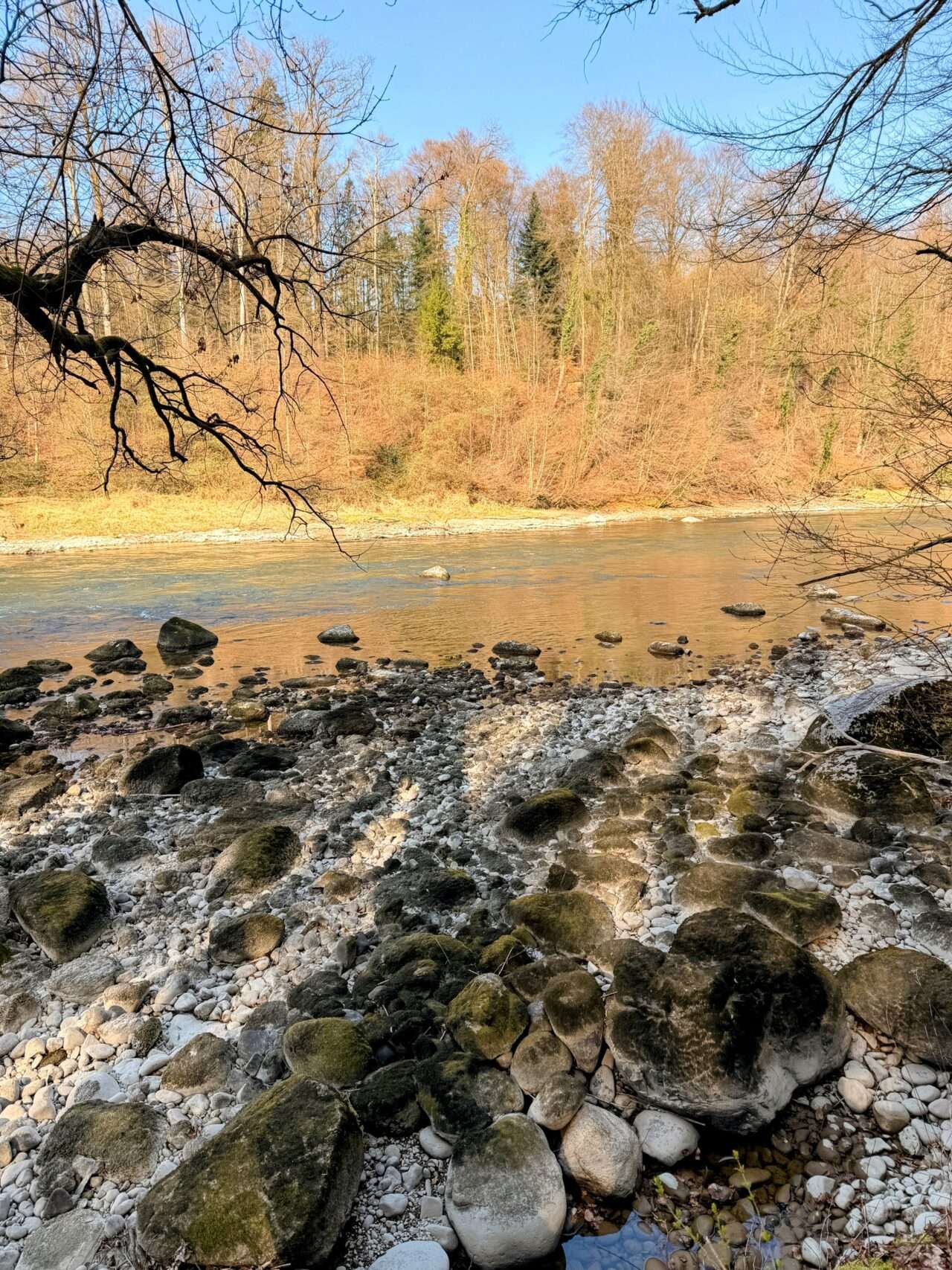 wanderung_reuss_und_aare_wanderung_mellingen_brugg_wildegg_