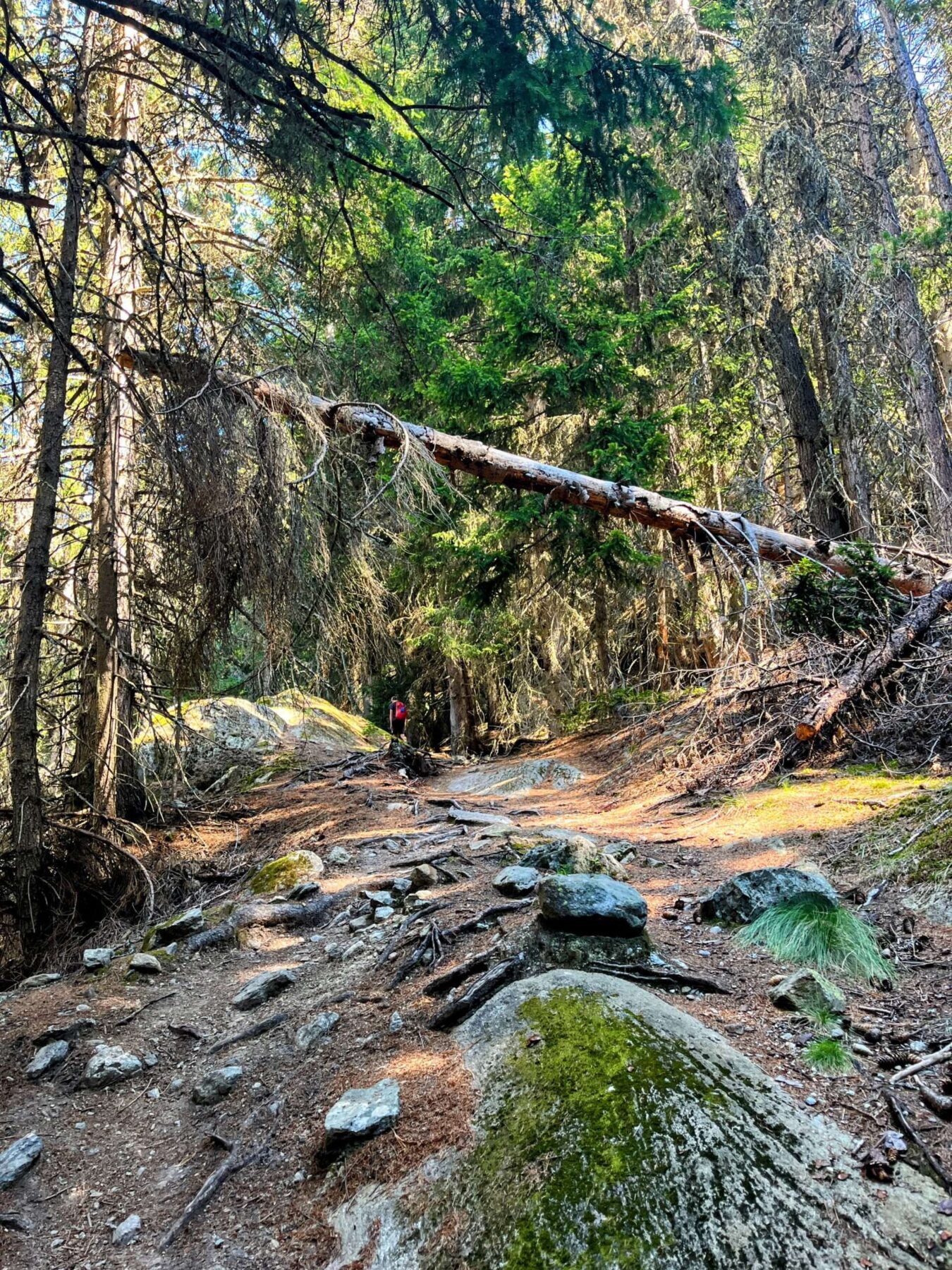 wanderung_oberaletschhuette_