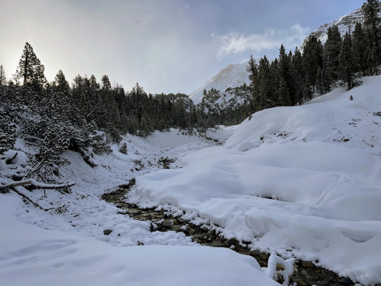 schneeschuhtour_buffalora_