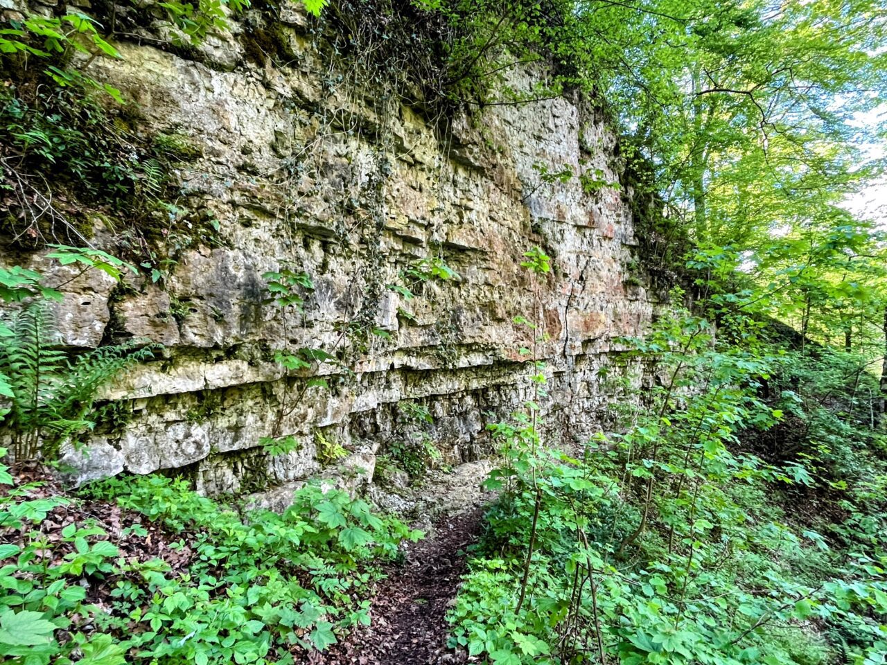 wanderung_schluchtensteig_schwarzwald_