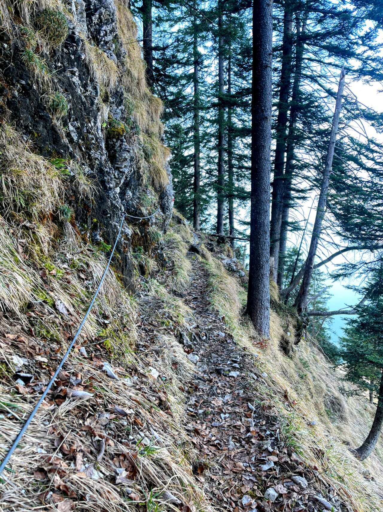wanderung_vitznau_gersauerstock_vitznauerstock_