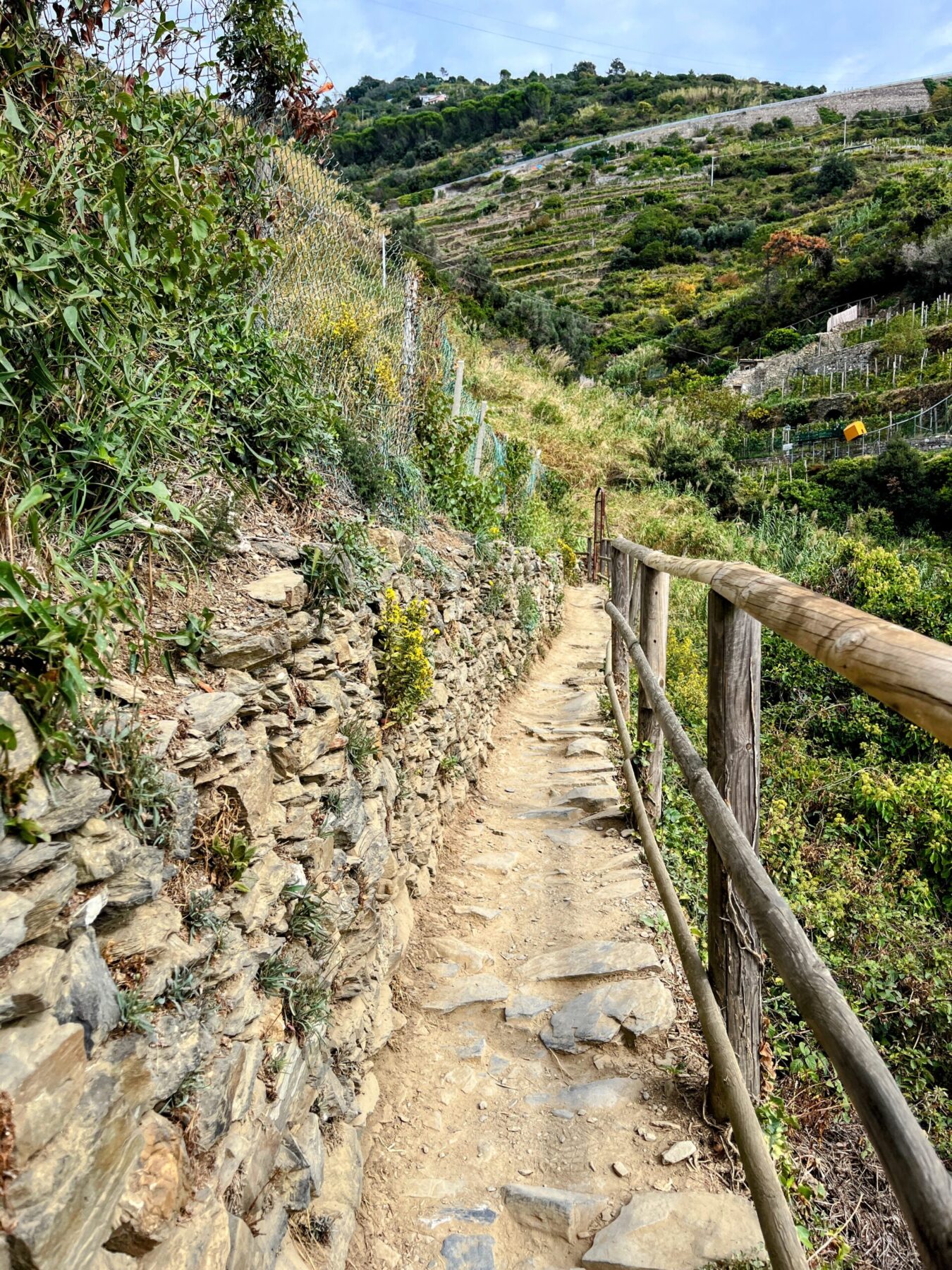 wandern_cinque_terre_