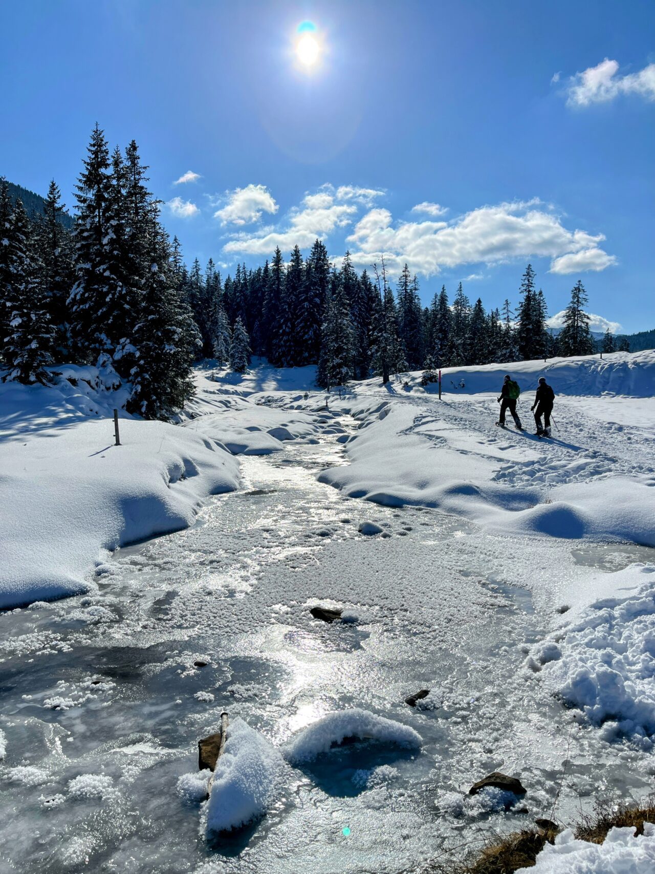 schneeschuhwandern-jaenzi-_IMG_9594 (Kopie)