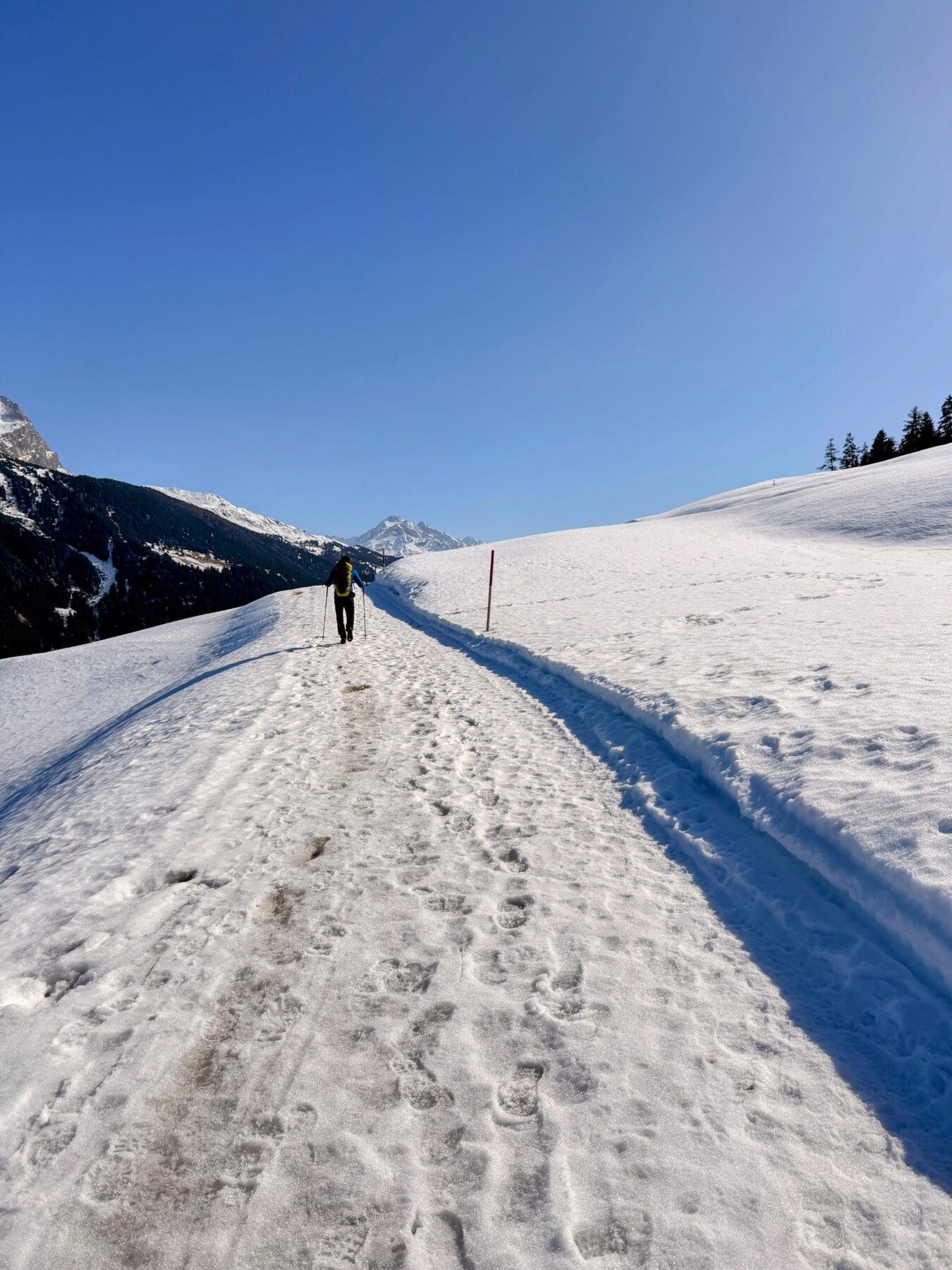 schneeschuhsafari_graubuenden_salouf_munter__IMG_0699