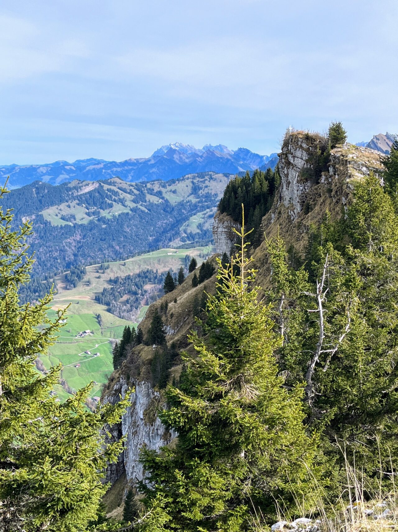 wanderung_waegitalersee_gross_aubrig_