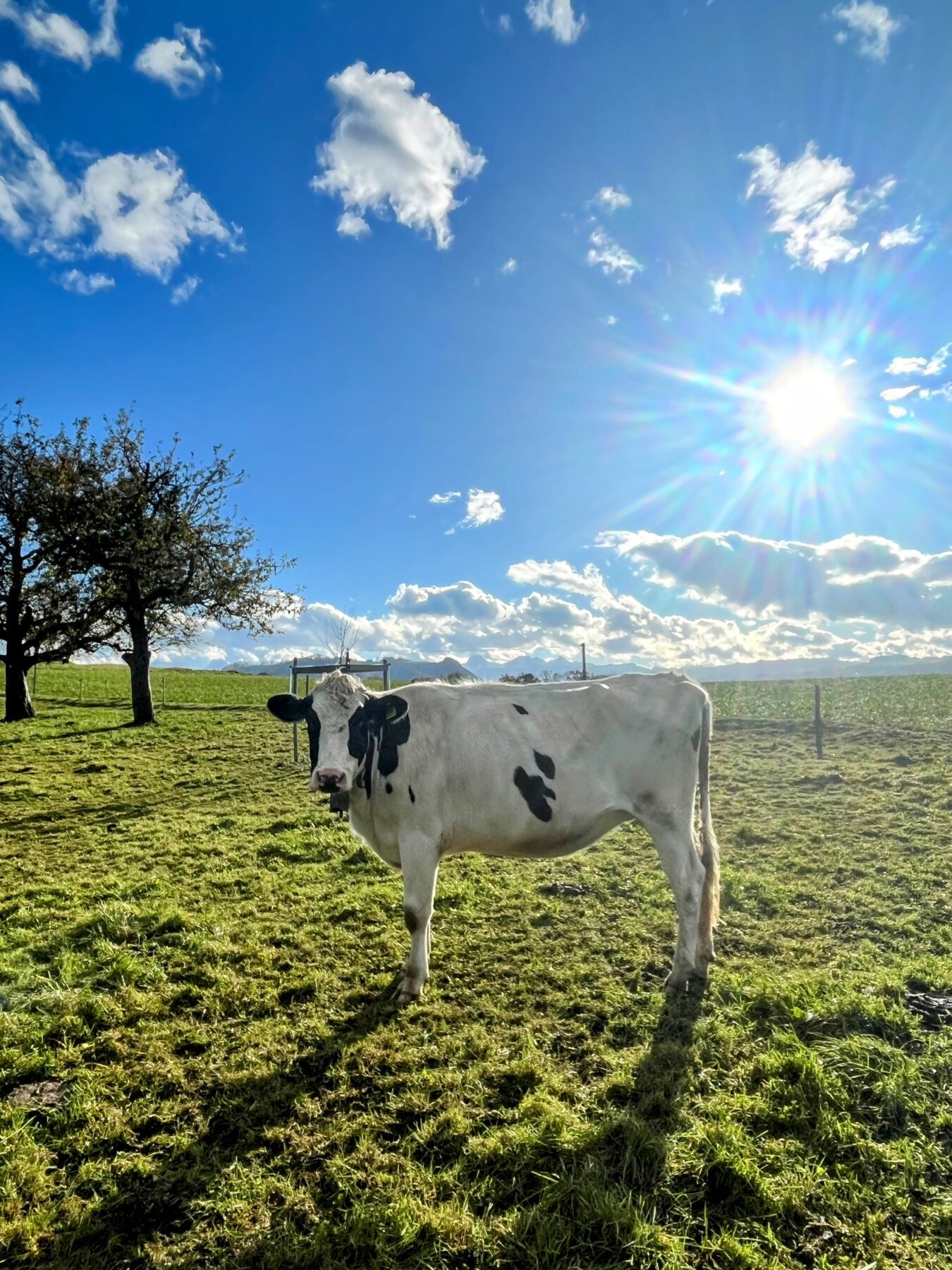 wanderung_trans_swiss_trail_etappe_10_11_bern_worb_lützelflüh_