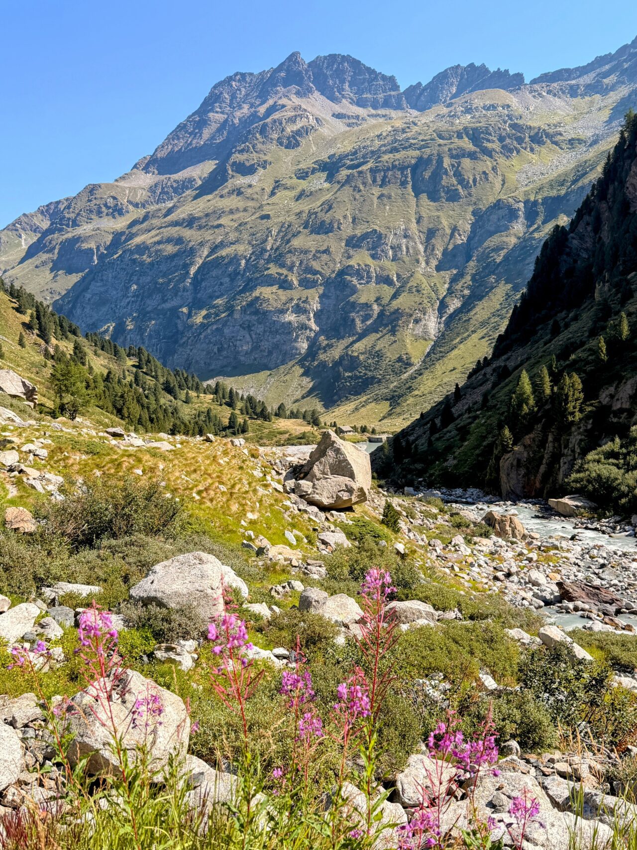 wanderung_sentiero_alpino_bregaglia_maloja_albignahuette__IMG_0145