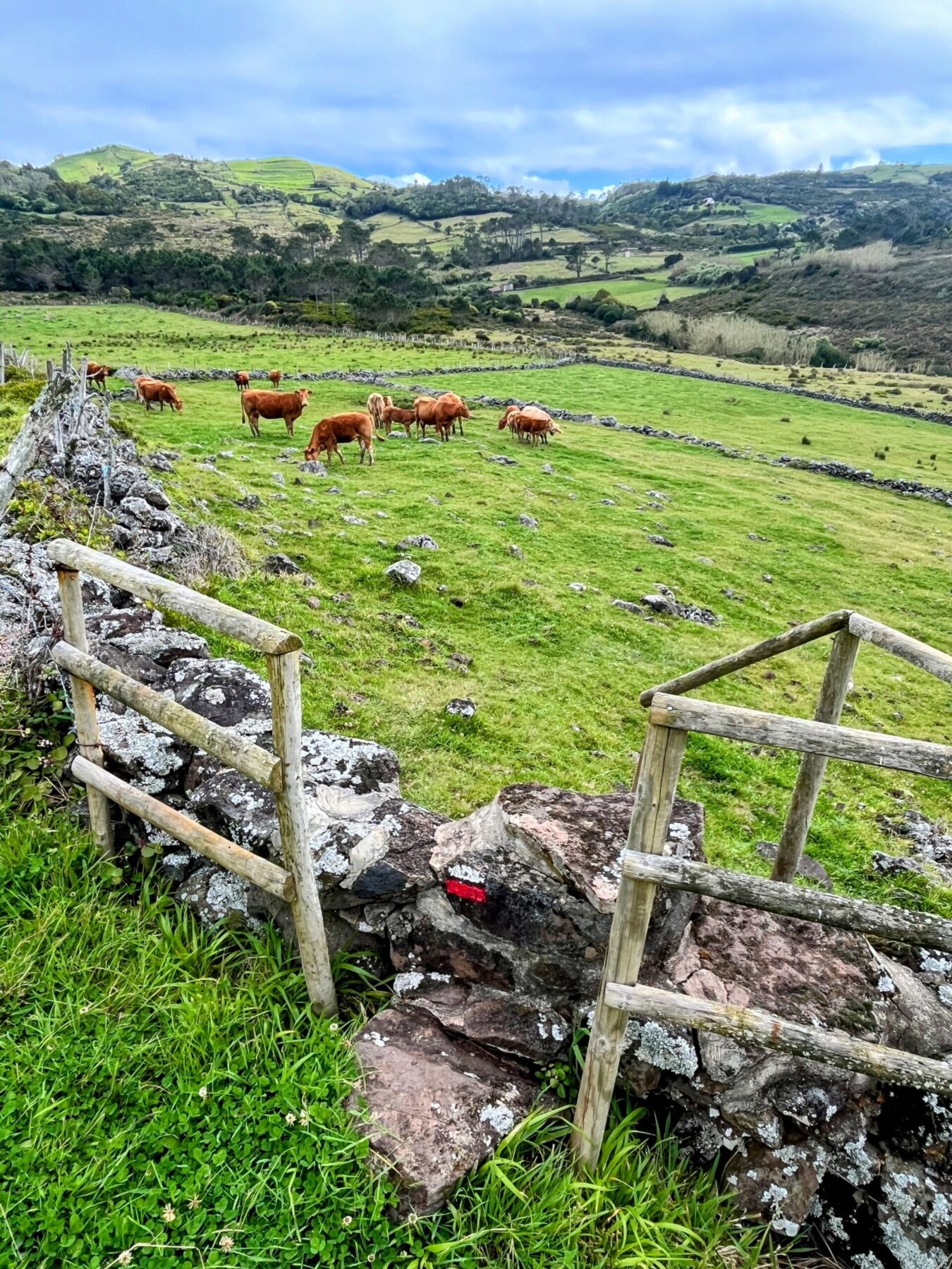 wanderung_ilha_a_pe_tag_2_malbusca_lapa_IMG_