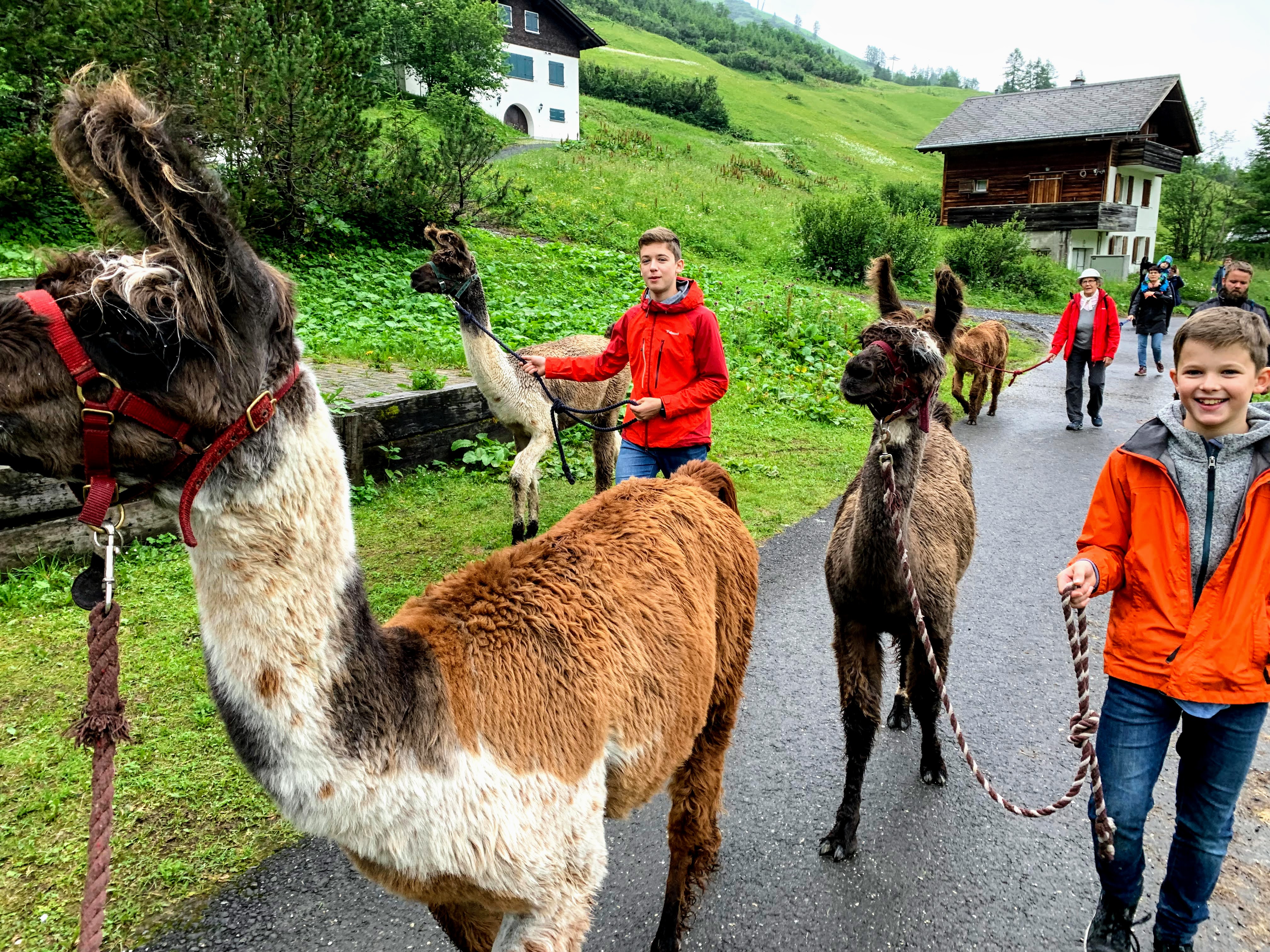 lamatrekking_malbun_