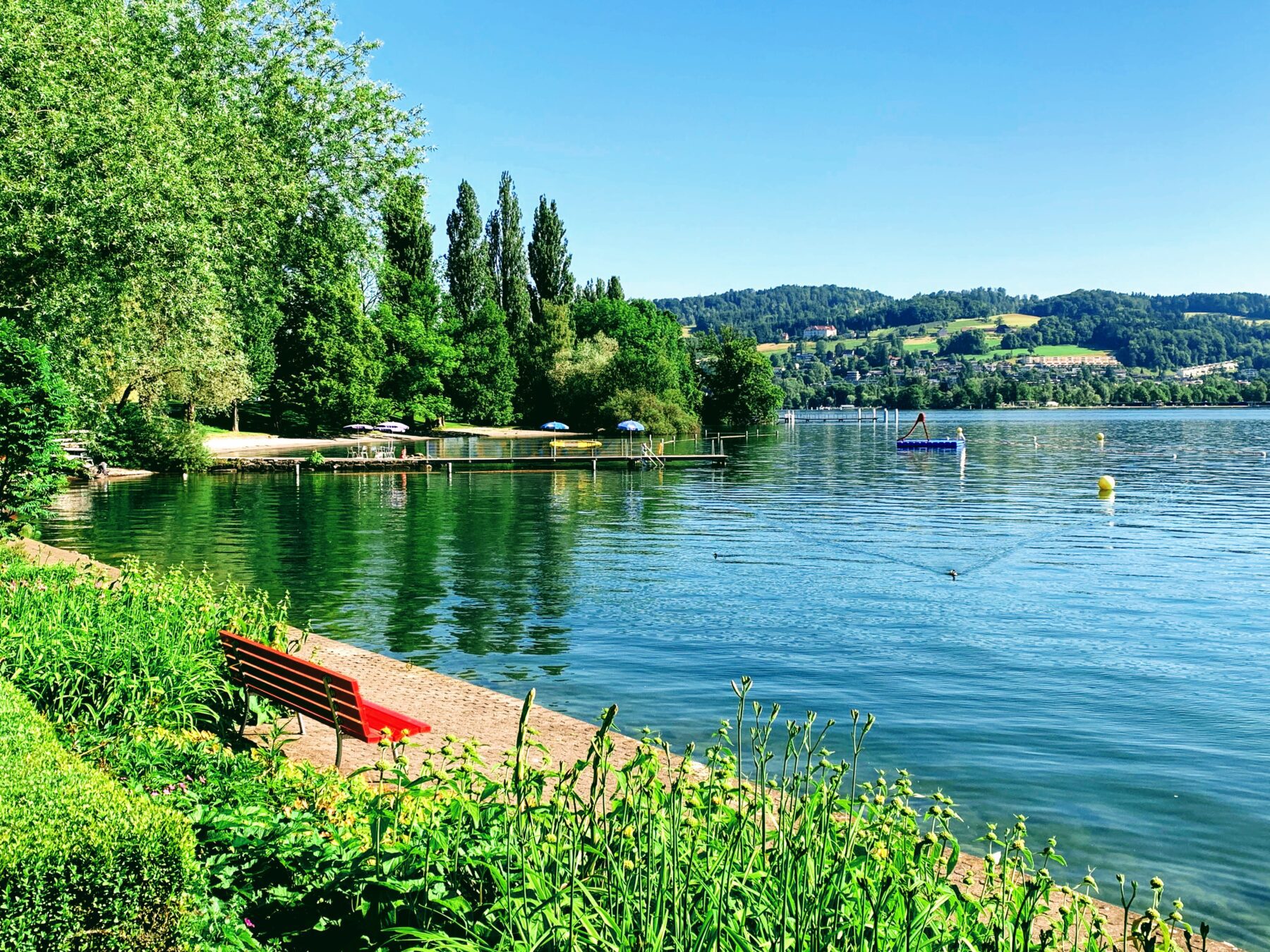 wanderung_vierwaldstaettersee_luzern_alpnachstad_