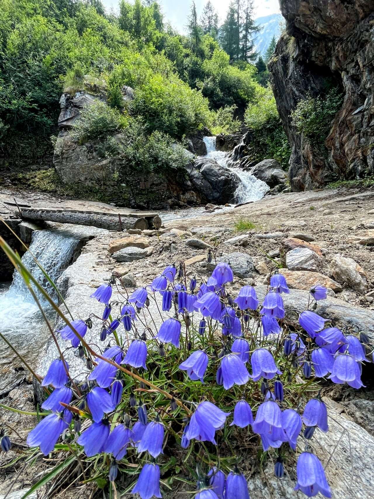 wanderung_alpenpässeweg_airolo_allacqua_