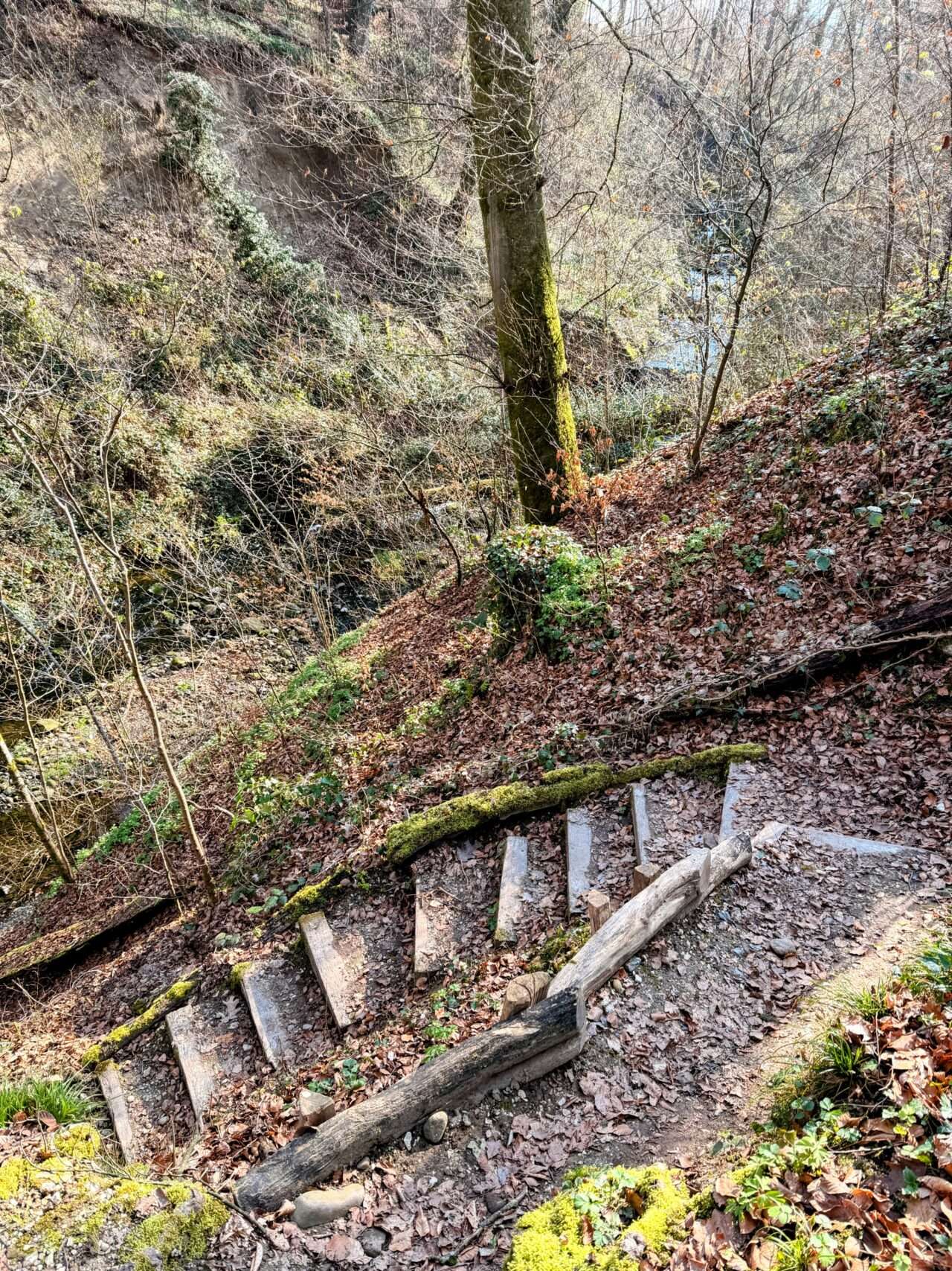 wanderung_reuss_und_aare_wanderung_mellingen_brugg_wildegg_