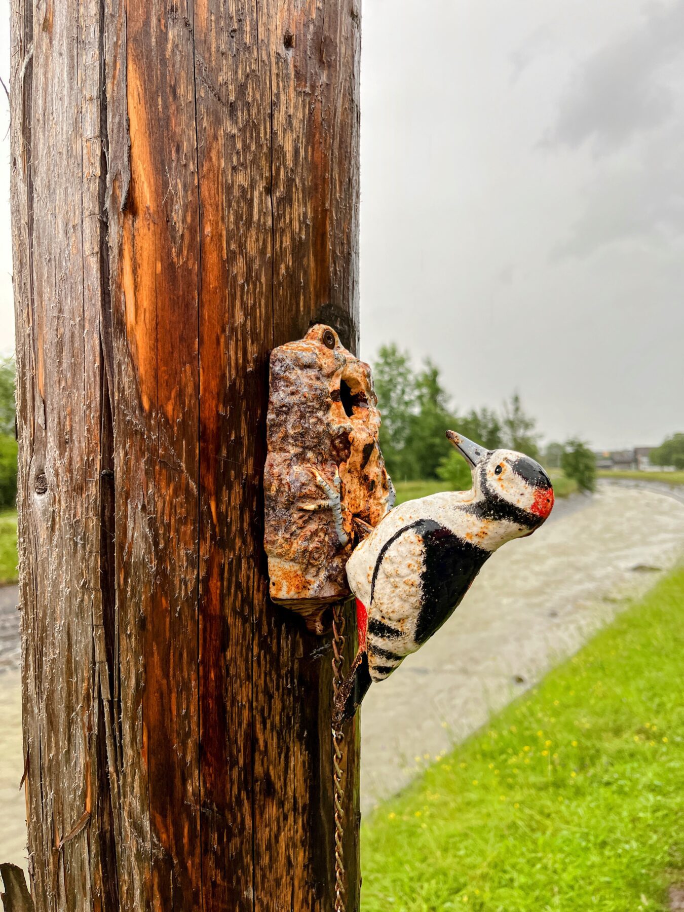 trans_swiss_trail_glaubenbielen_giswil_