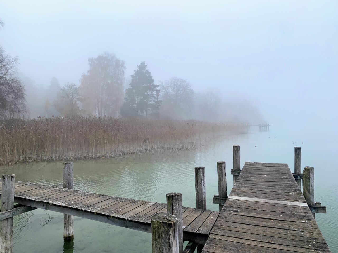 umrundung_pfaeffikersee_