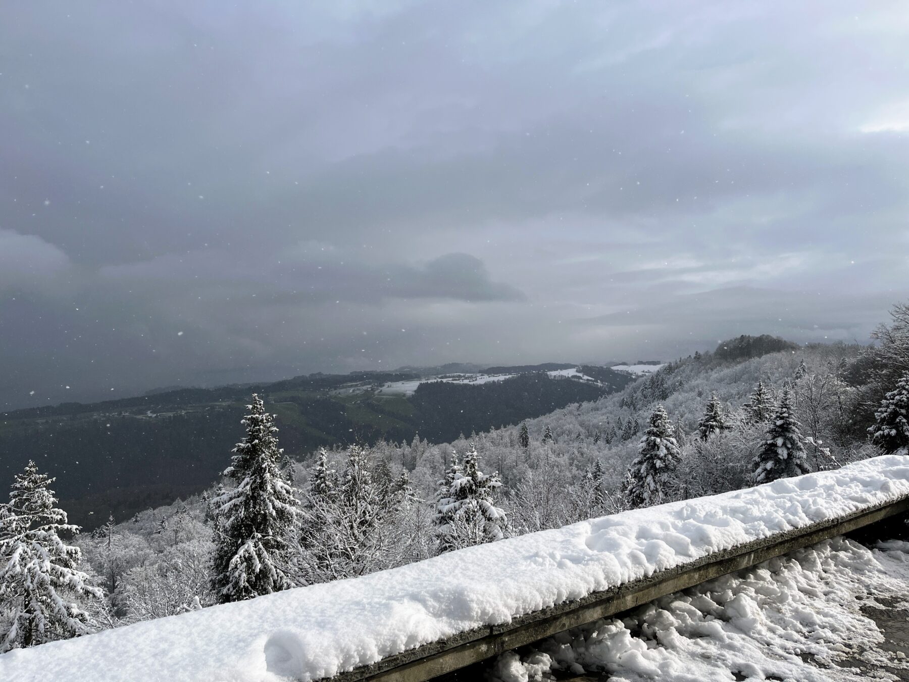 wanderung_albishorn_