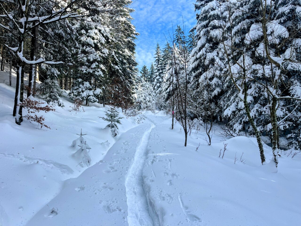 schneeschuhwanderung_rothenthurm-nüsselstock-brunni__IMG_5556