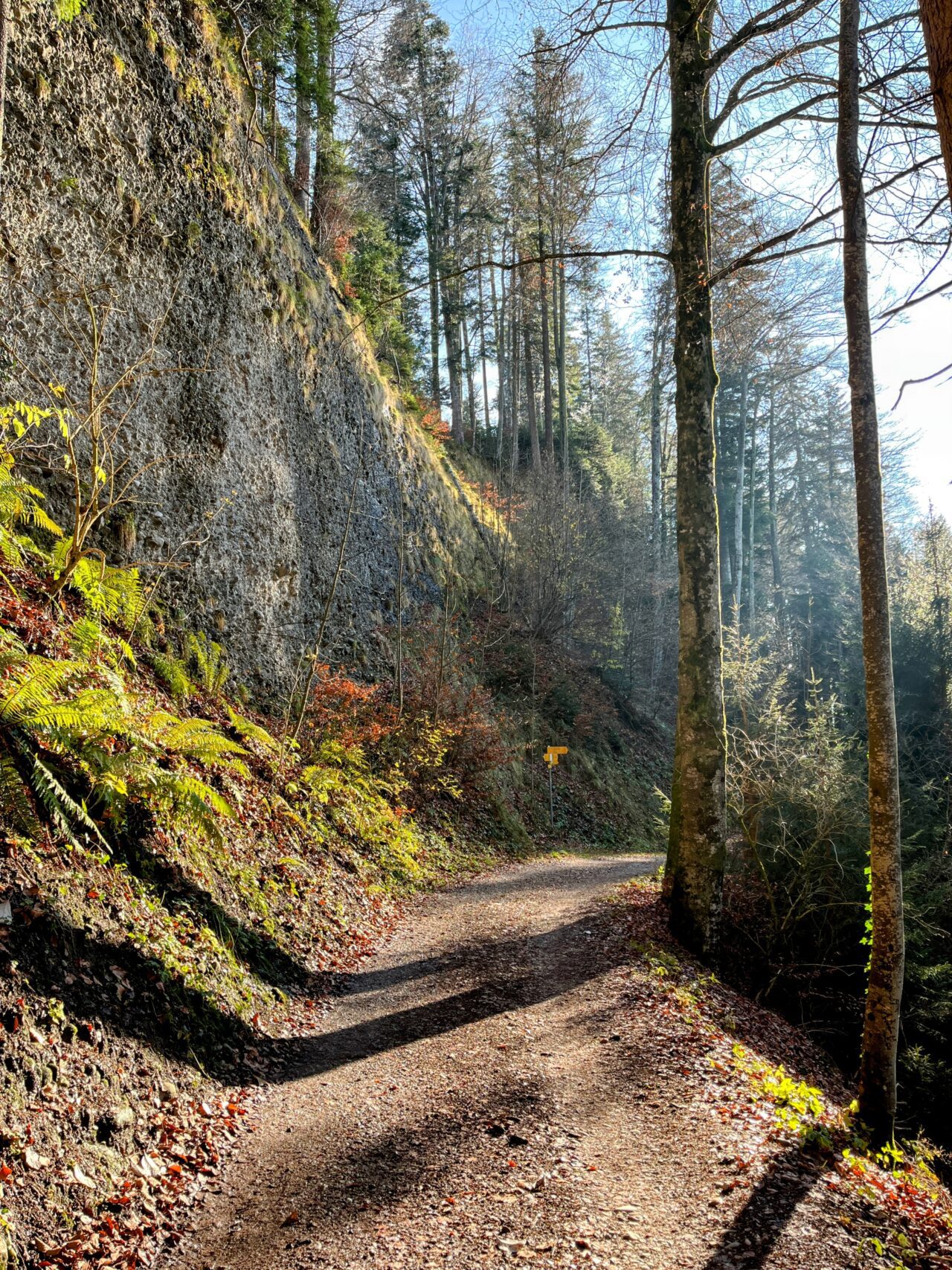 trans-swiss-trail-etappe-12-und-13-luetzelfluh-langnau-eggiswil-