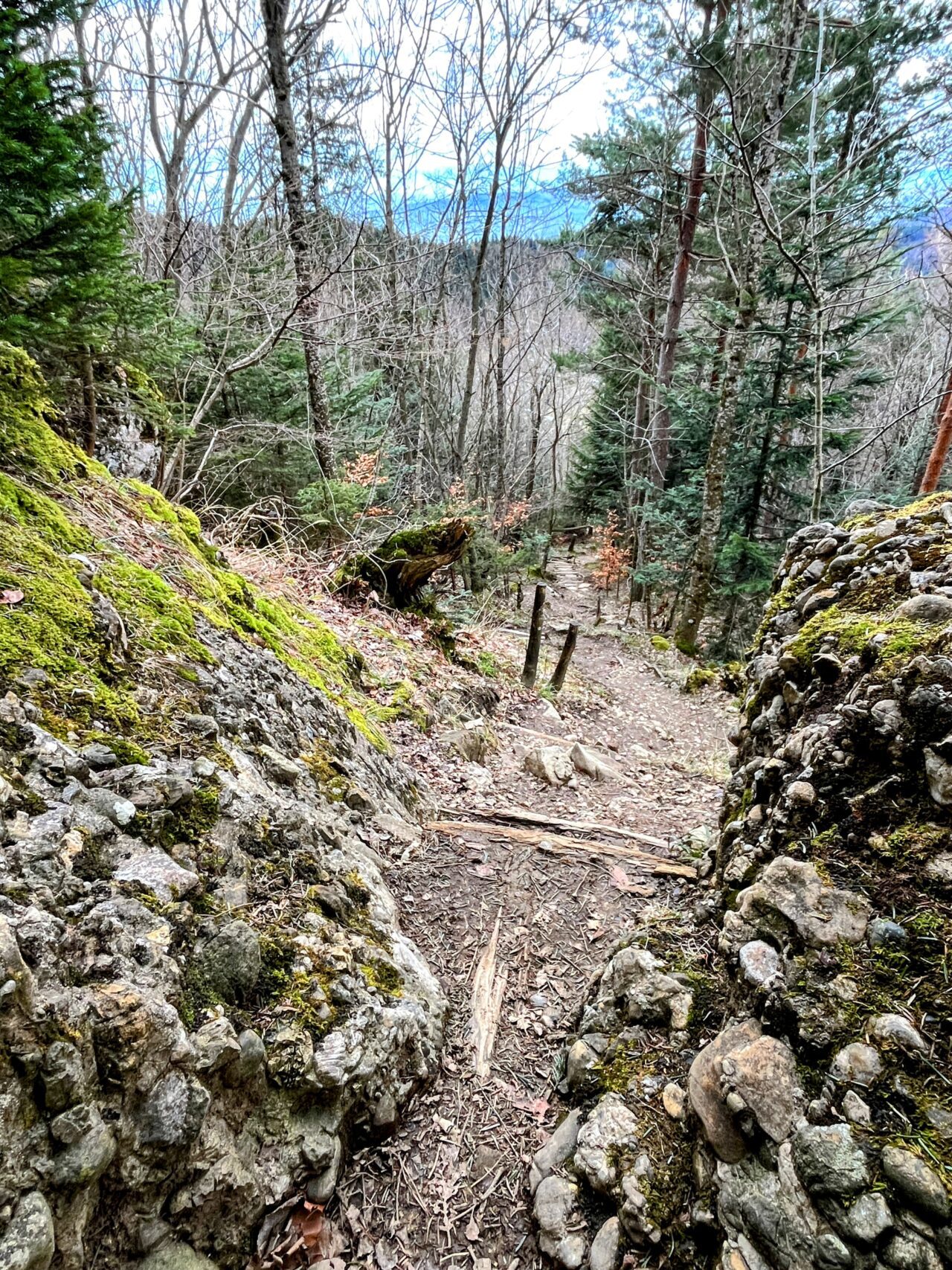 wanderung_gnipen_wildspitz_
