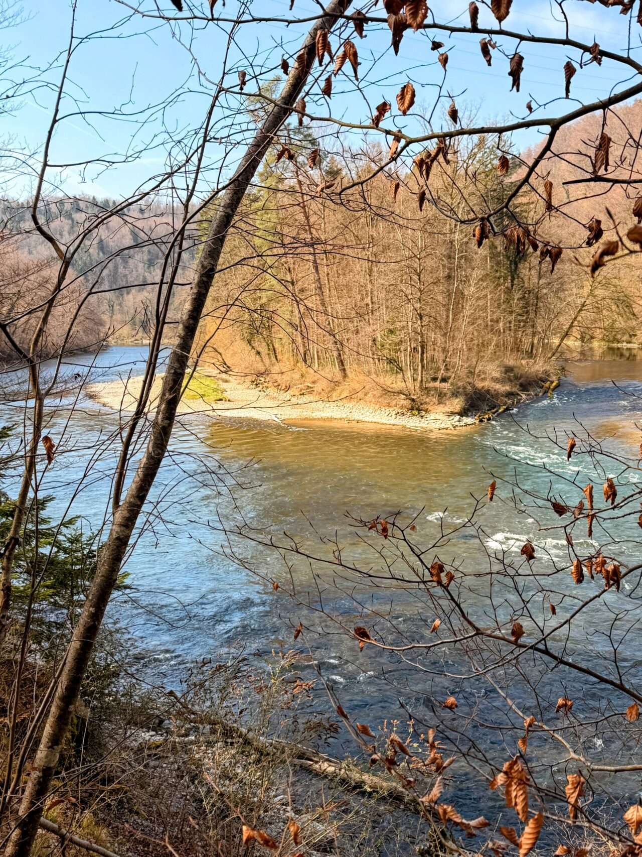 wanderung_reuss_und_aare_wanderung_mellingen_brugg_wildegg_
