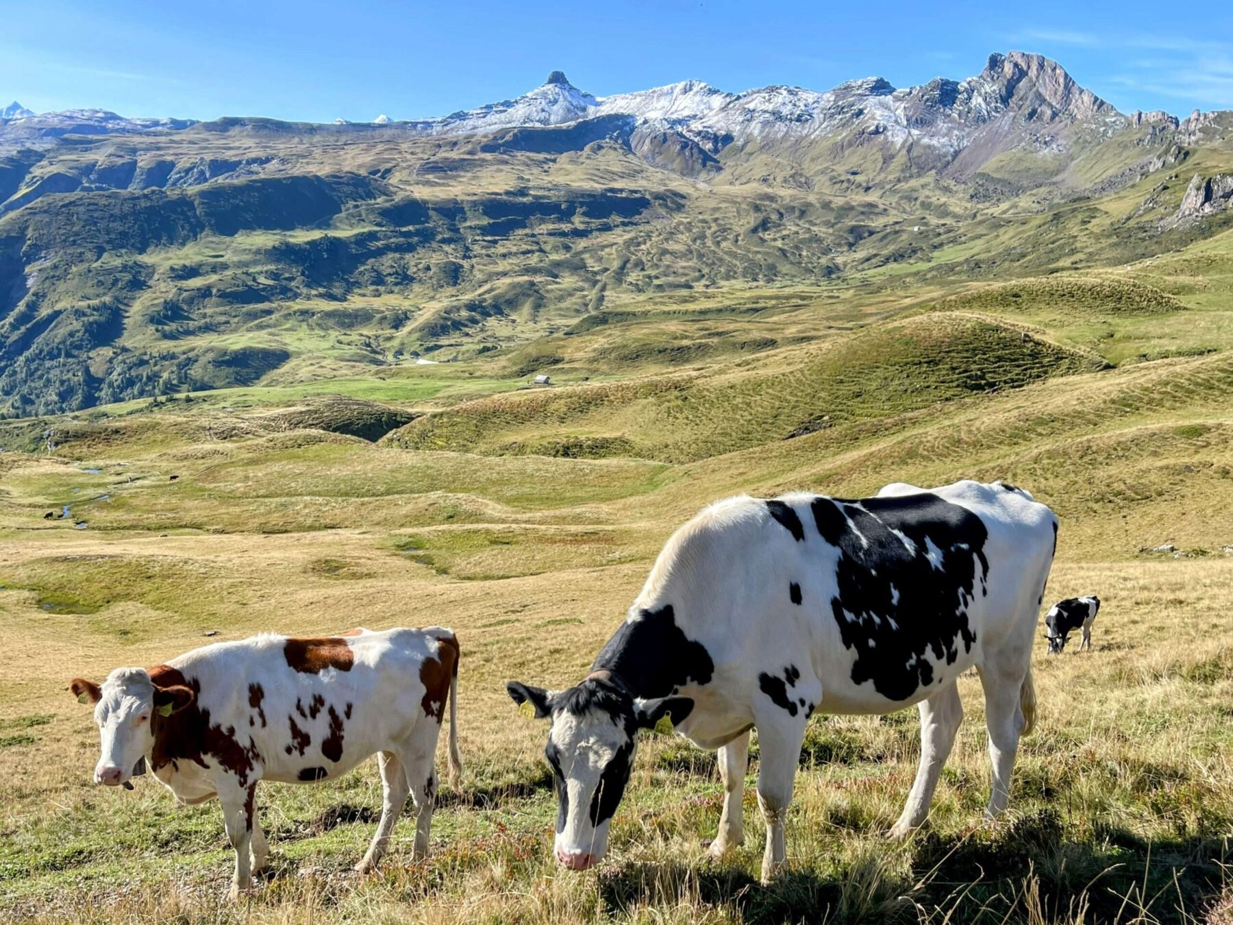 wanderung_7_gipfel_tour_maschgenkamm_spitzmeilenhütte_