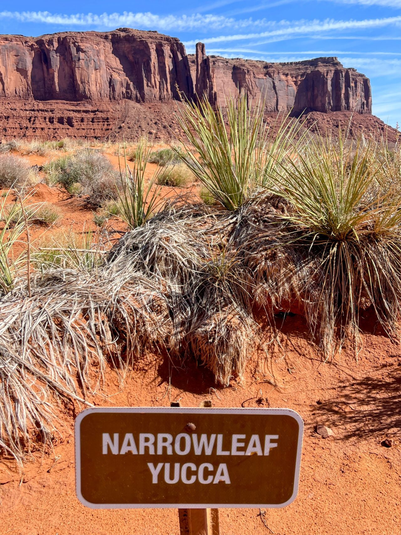 wanderung_wildcat_trail_monument_valley_