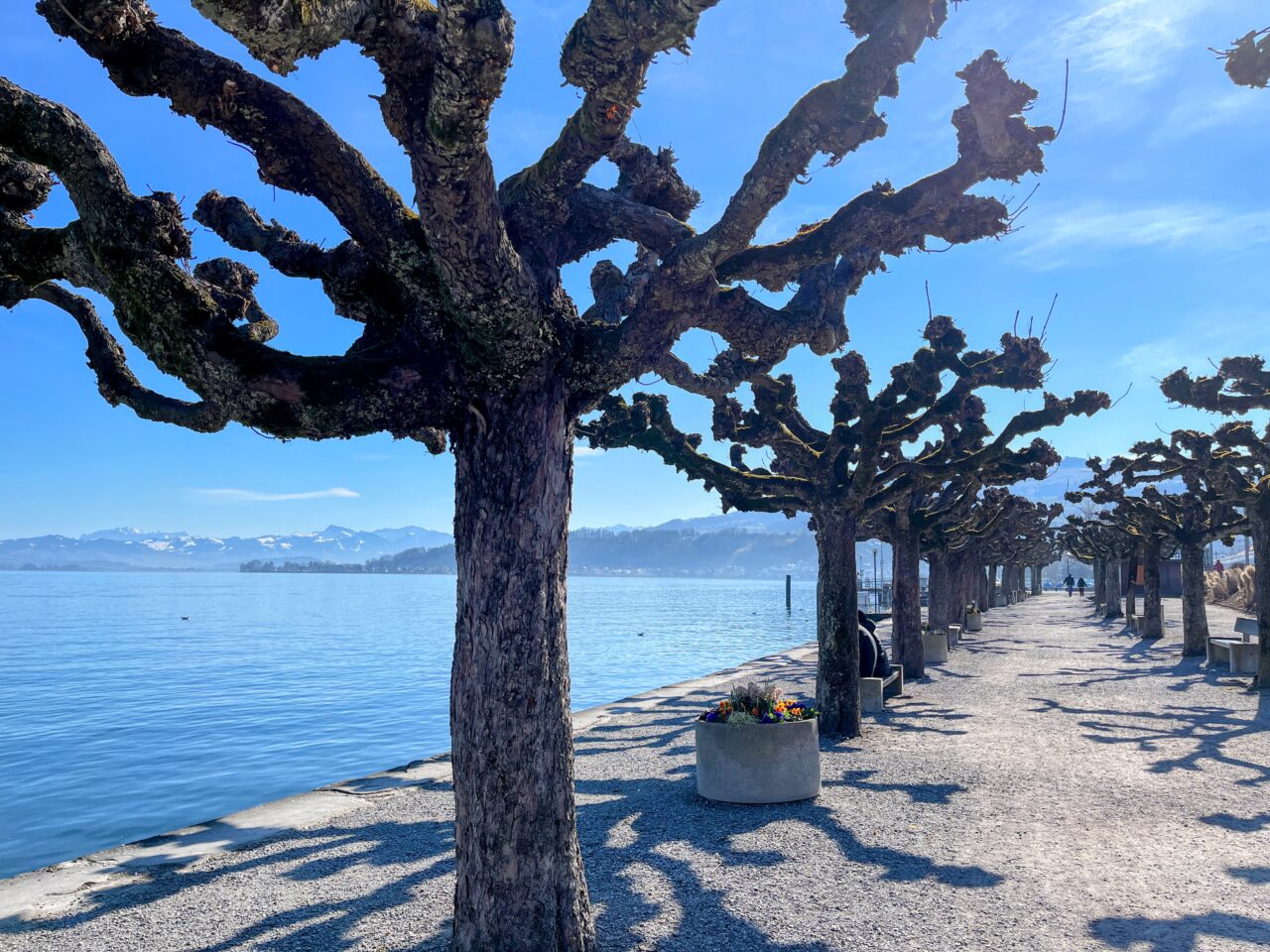 umrundung_zuerichsee_horgen_richterswil_
