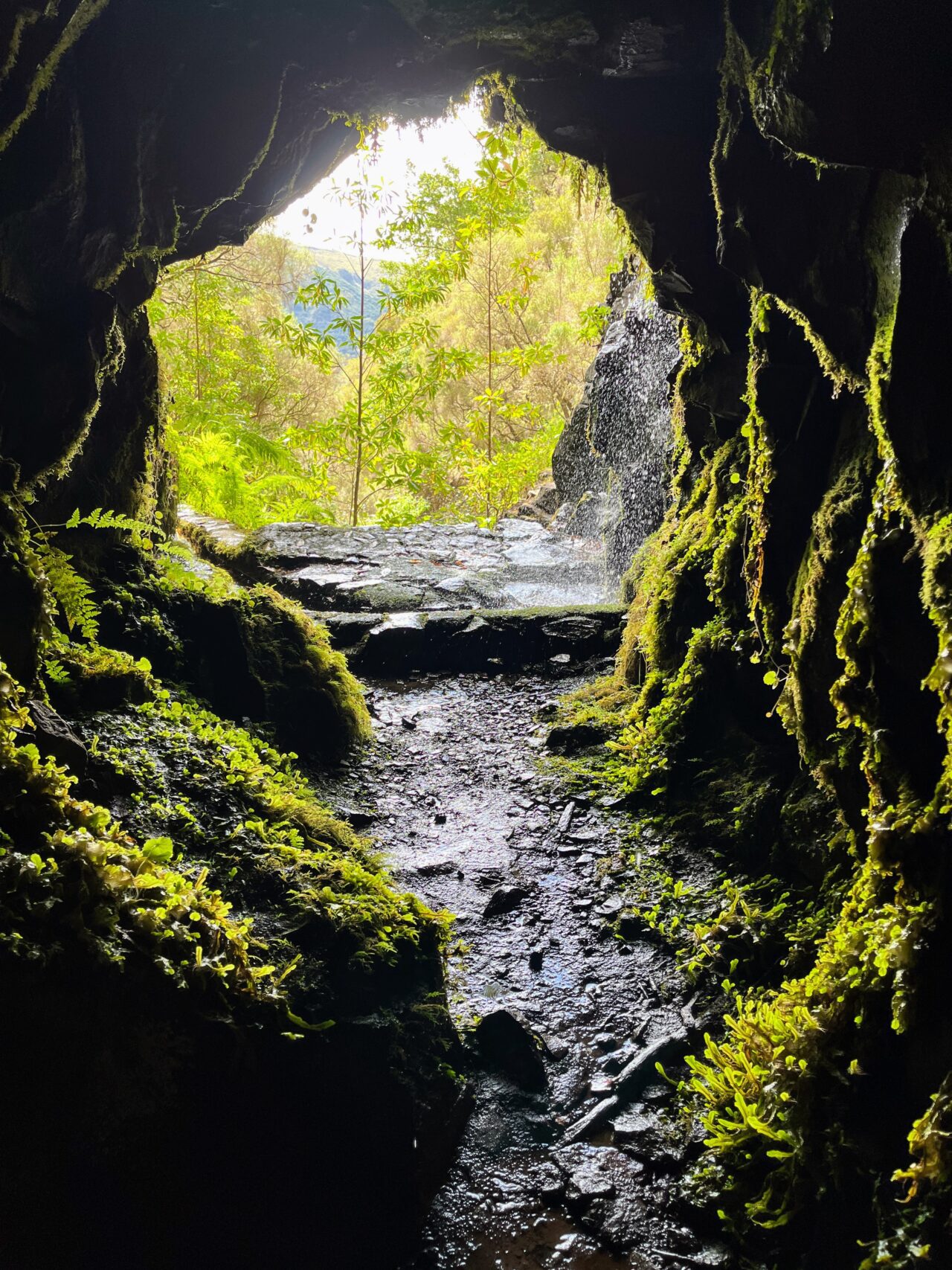 wanderung_wanderung_25_fontes_risco_