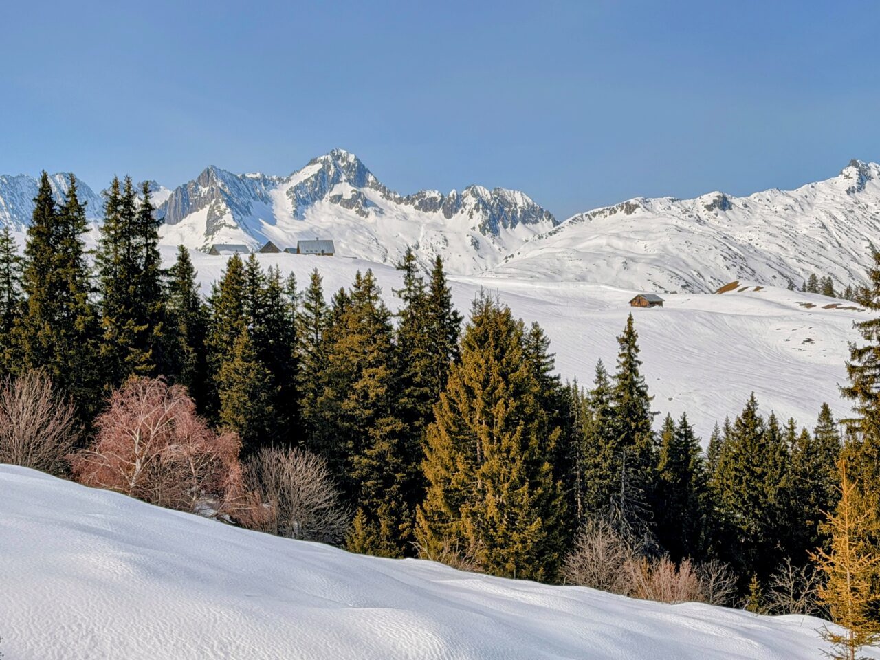 schneeschuhsafari-graubuenden-sedrun-disentis-_IMG_0287
