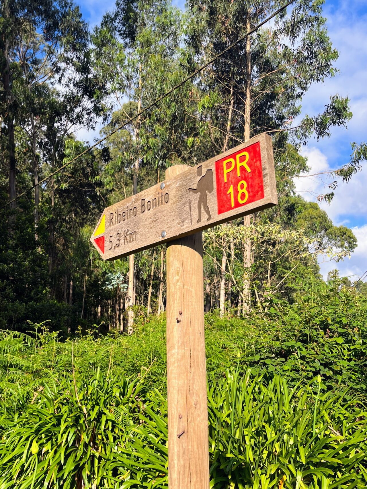 wanderung_levada_do_rei_pr18_
