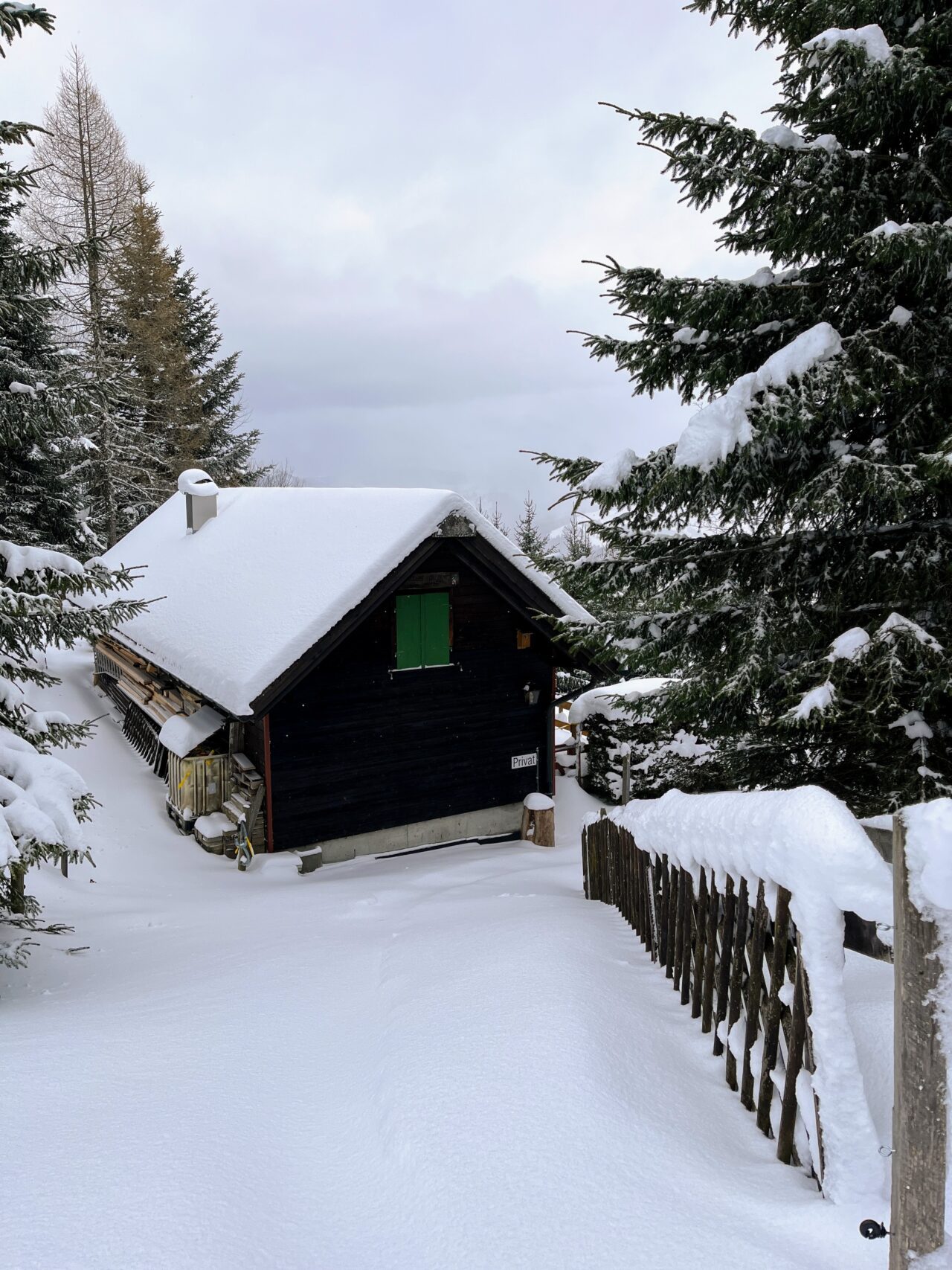 schneeschuhtour_sattelegg_