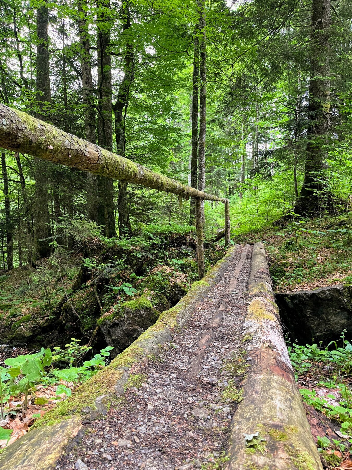 trans_swiss_trail_glaubenbielen_giswil_