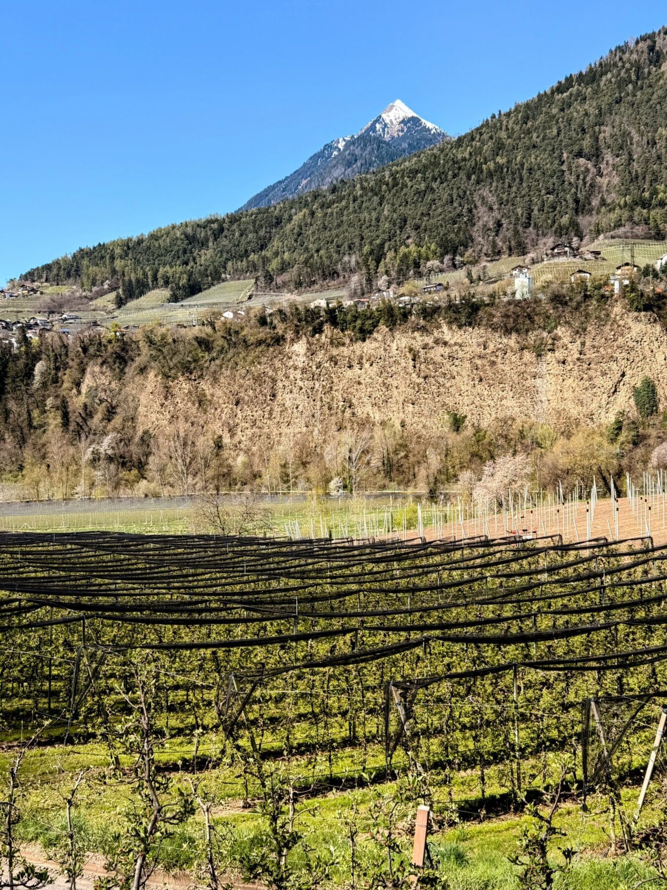 wanderung_maiser_waalweg_tappeinerweg_dorf_tirol_