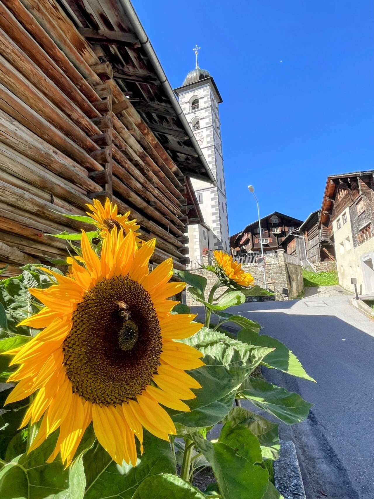 Alpenpässeweg_etappe_8_vella_lumein_